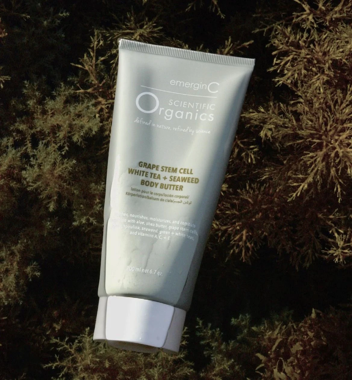 body butter1.jpg