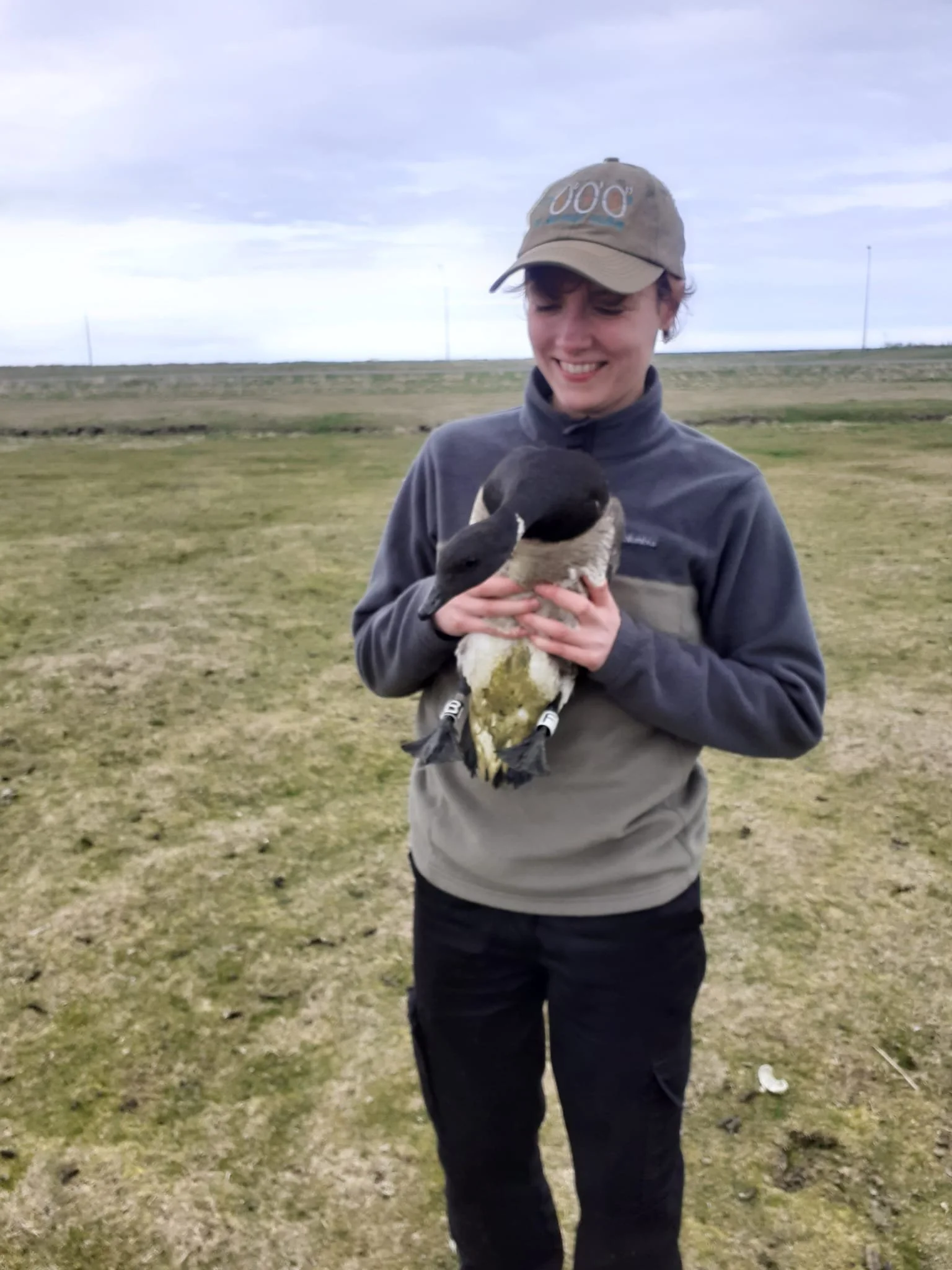 A woman is holding a duck with a black head and white body in an open grassy field during daytime.
