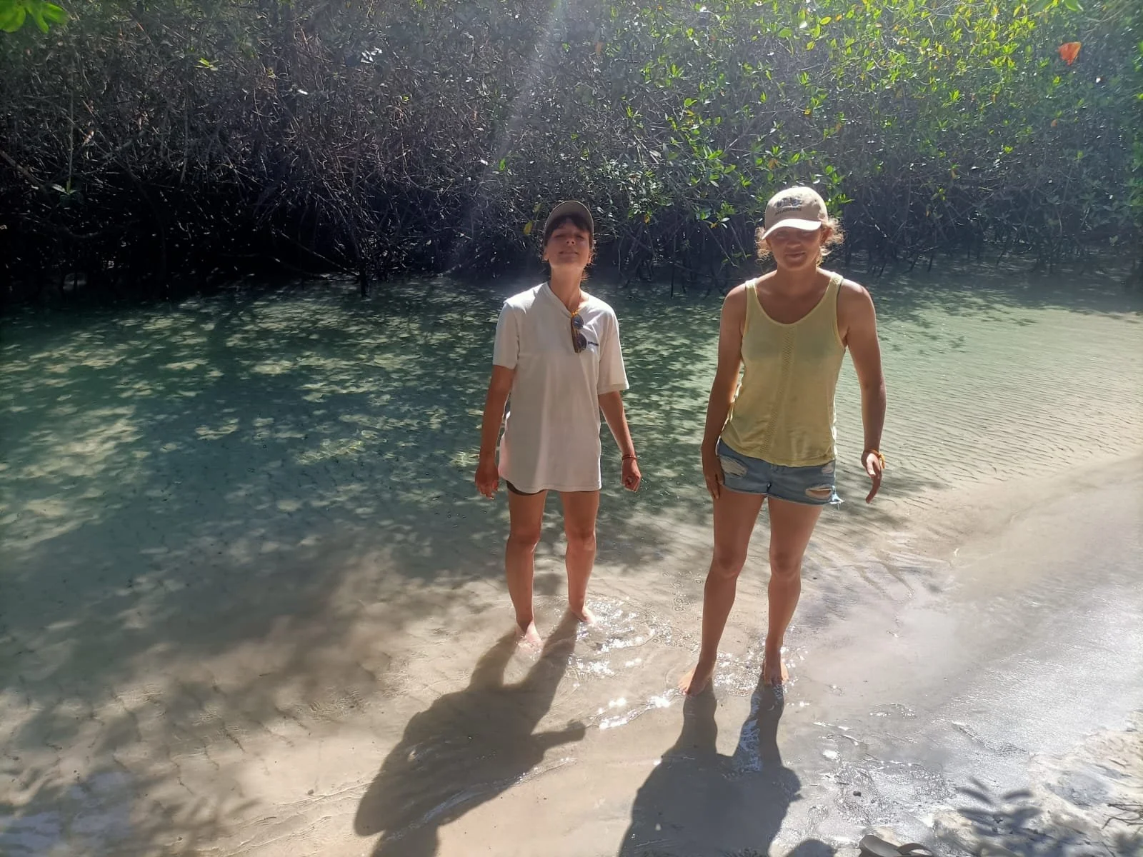 Enjoying the Mangroves with Amy on Santa Cruz, Galapagos.