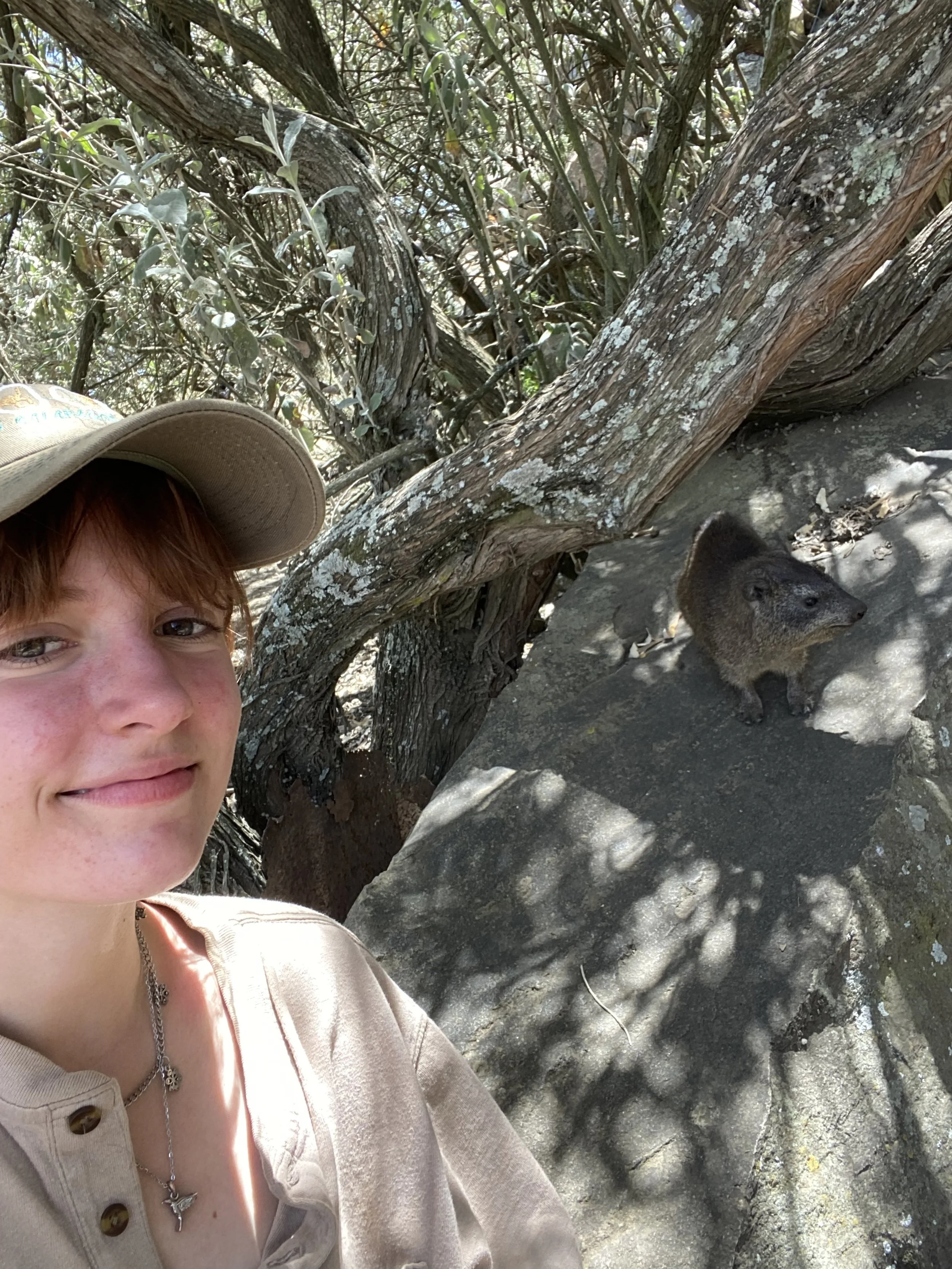 Hell's Gate ft. Rock Hyrax