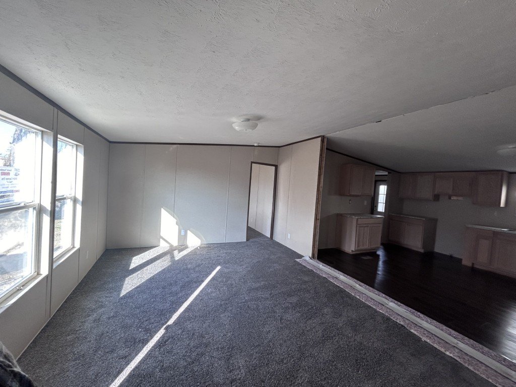 317ee7fd-d060-4e62-878c-d23db0e6b609 (Medium).jpg