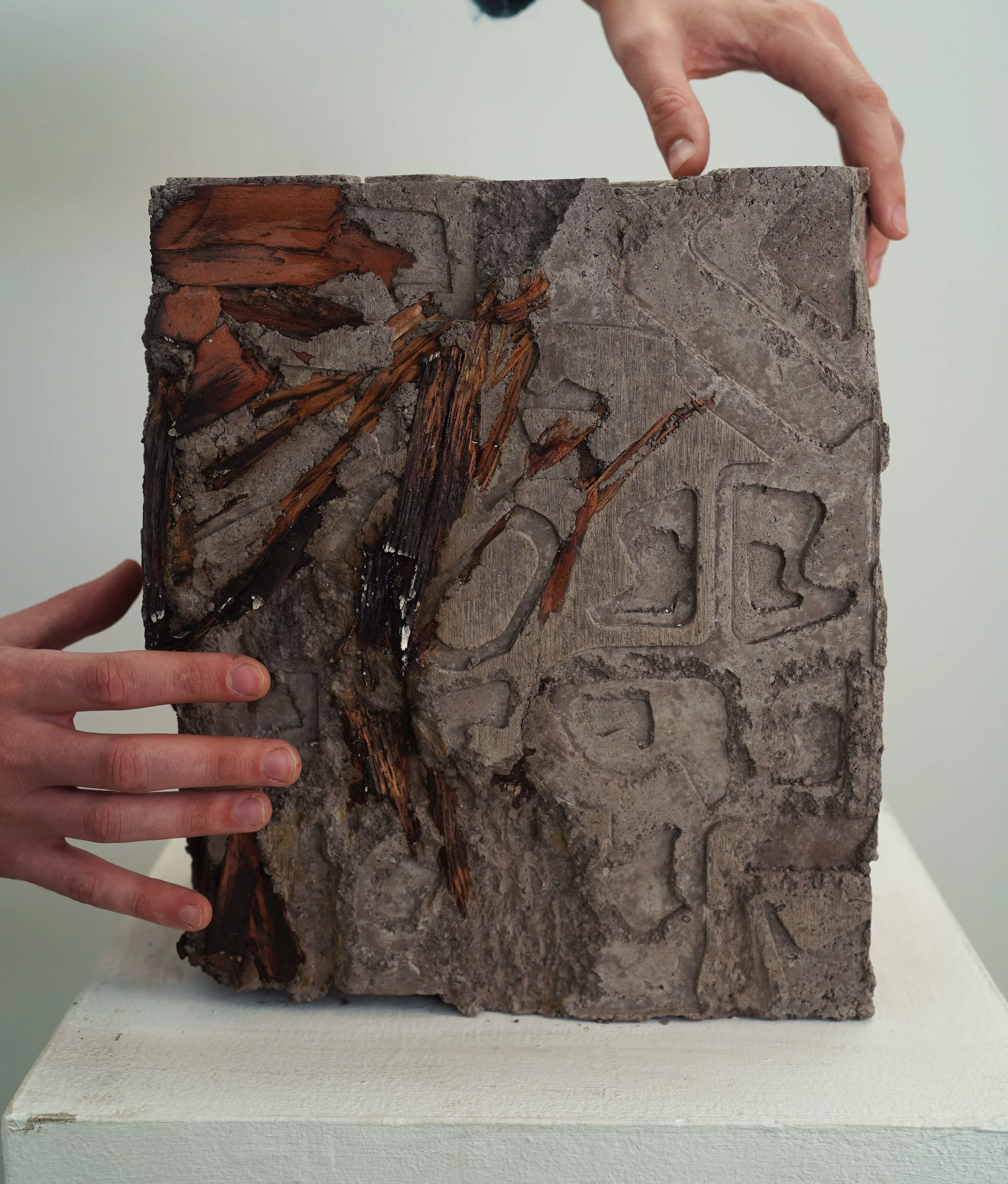 Reclaiming Chachalu: Monumentality in Pursuit of Ecomechanization