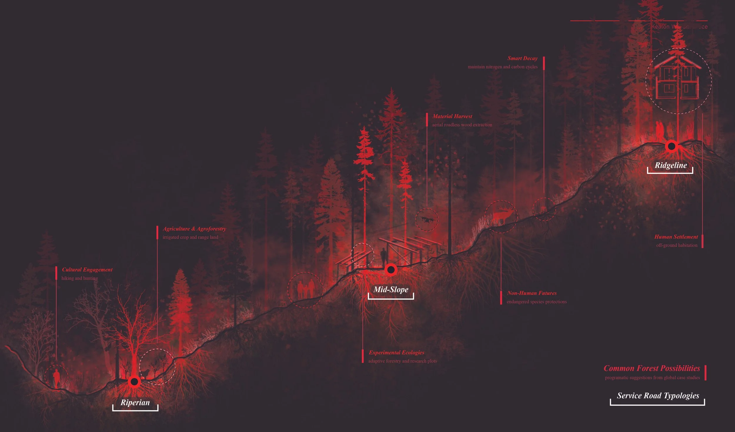 section wout title.jpg