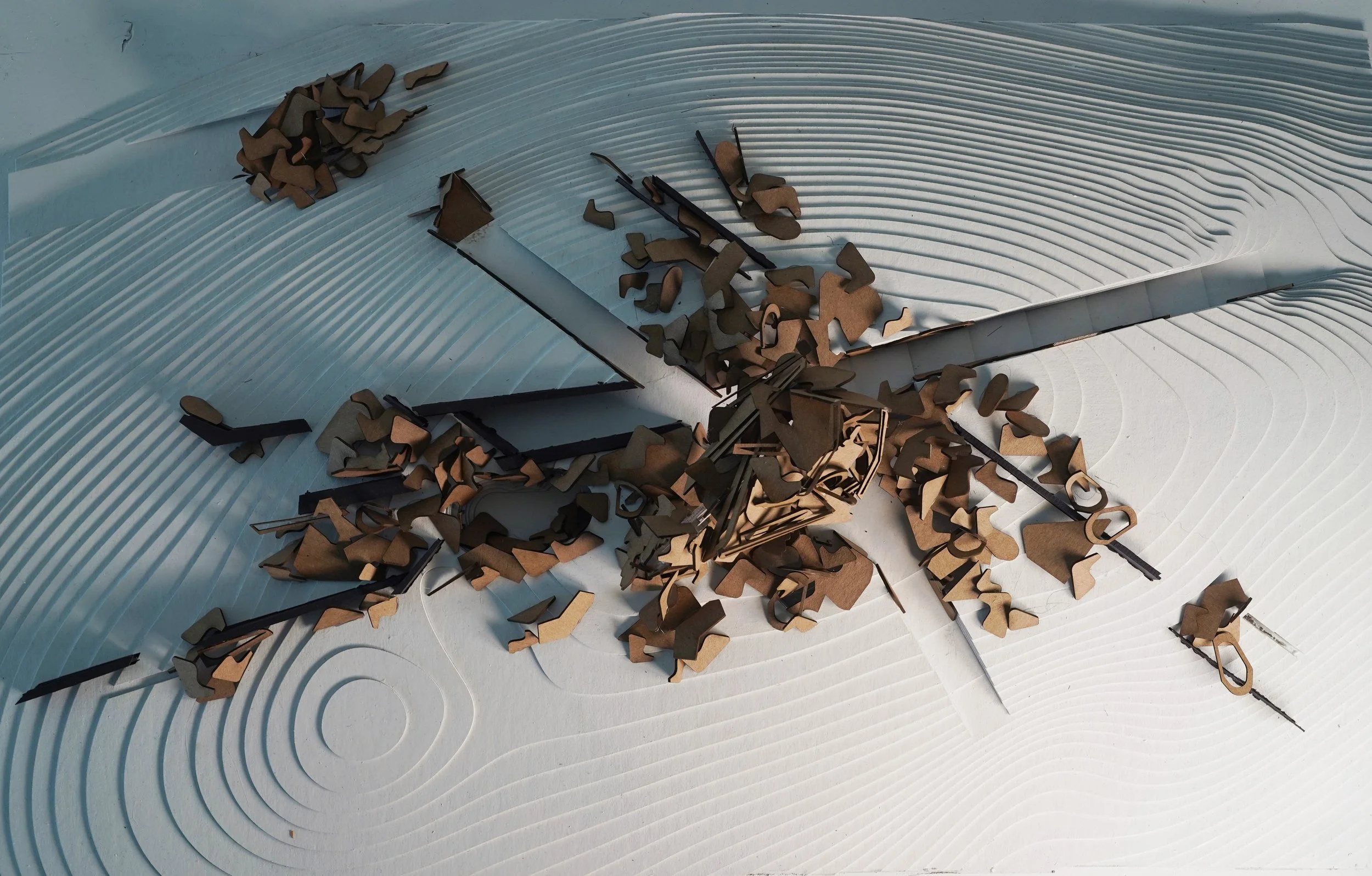 Final Site Model.jpg