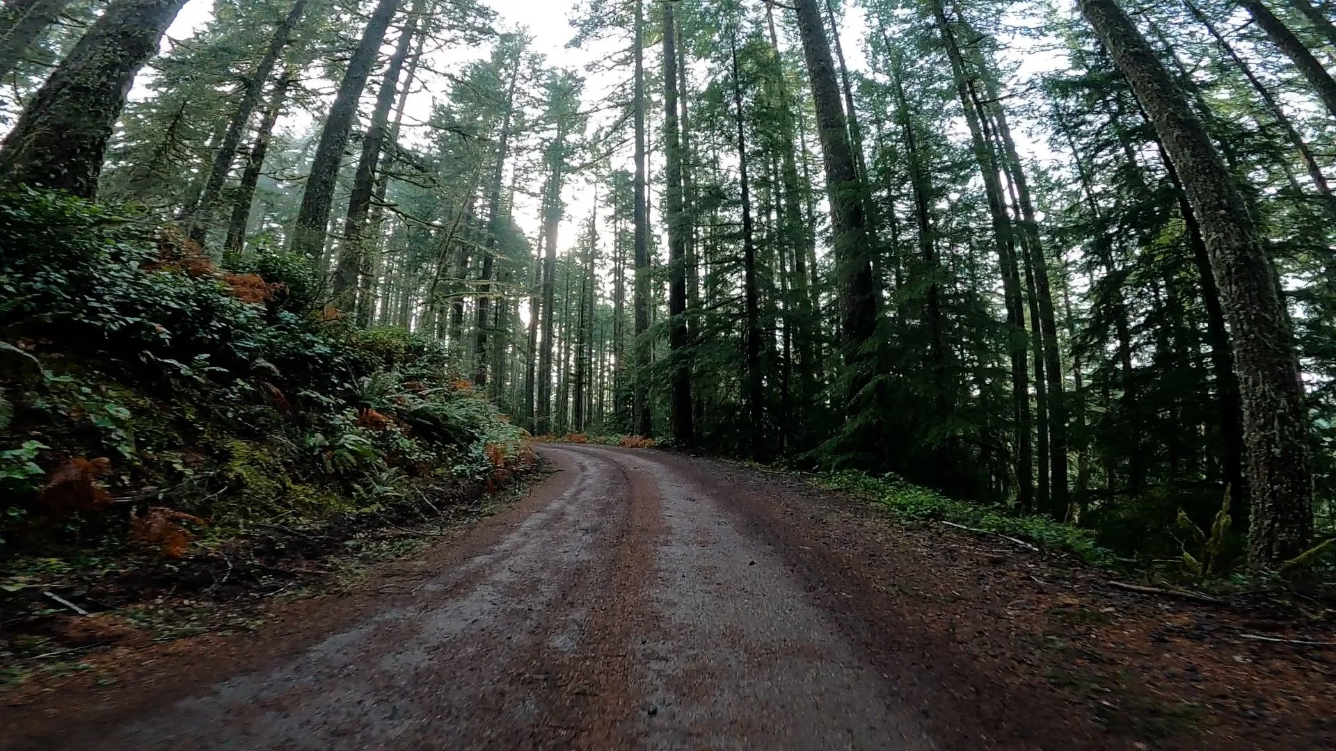 Eliott State Drive.00_01_46_47.Still001.jpg