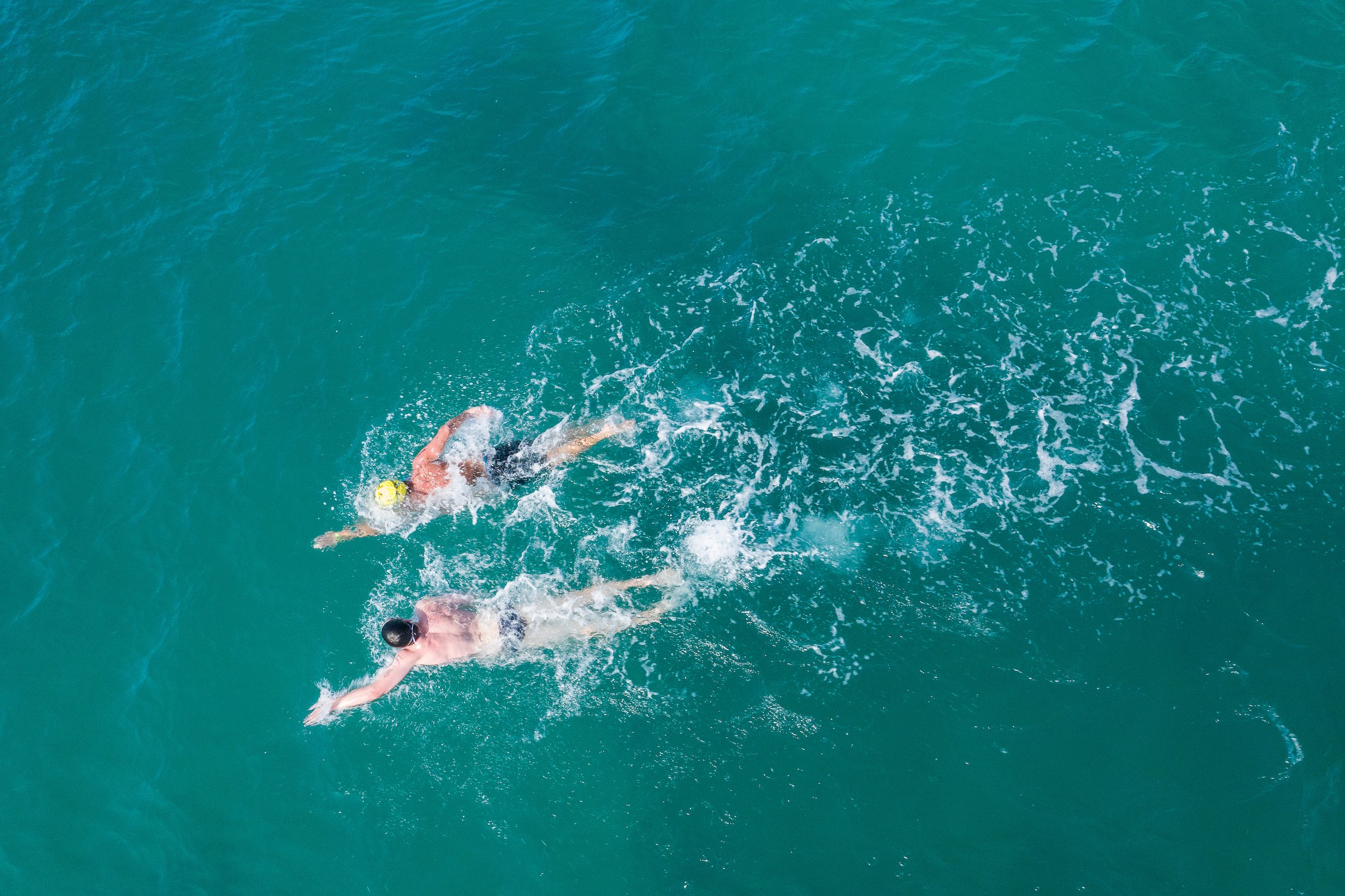 The Coral Reef Swimrace