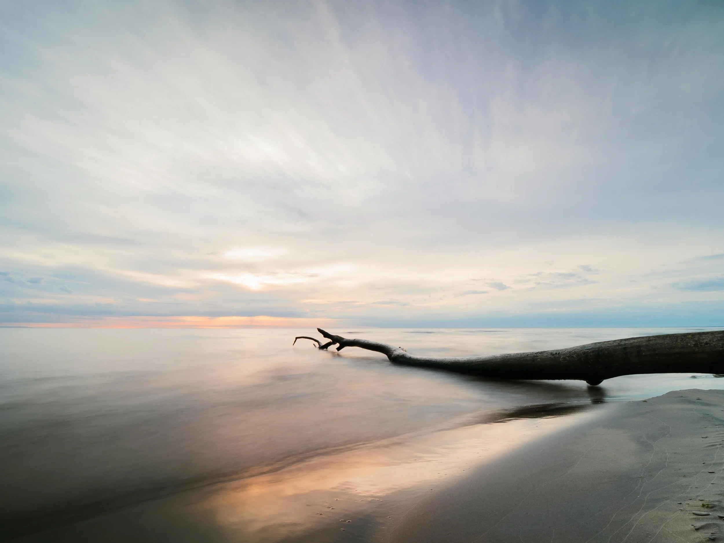 Rattray Marshes_101825-3.jpg