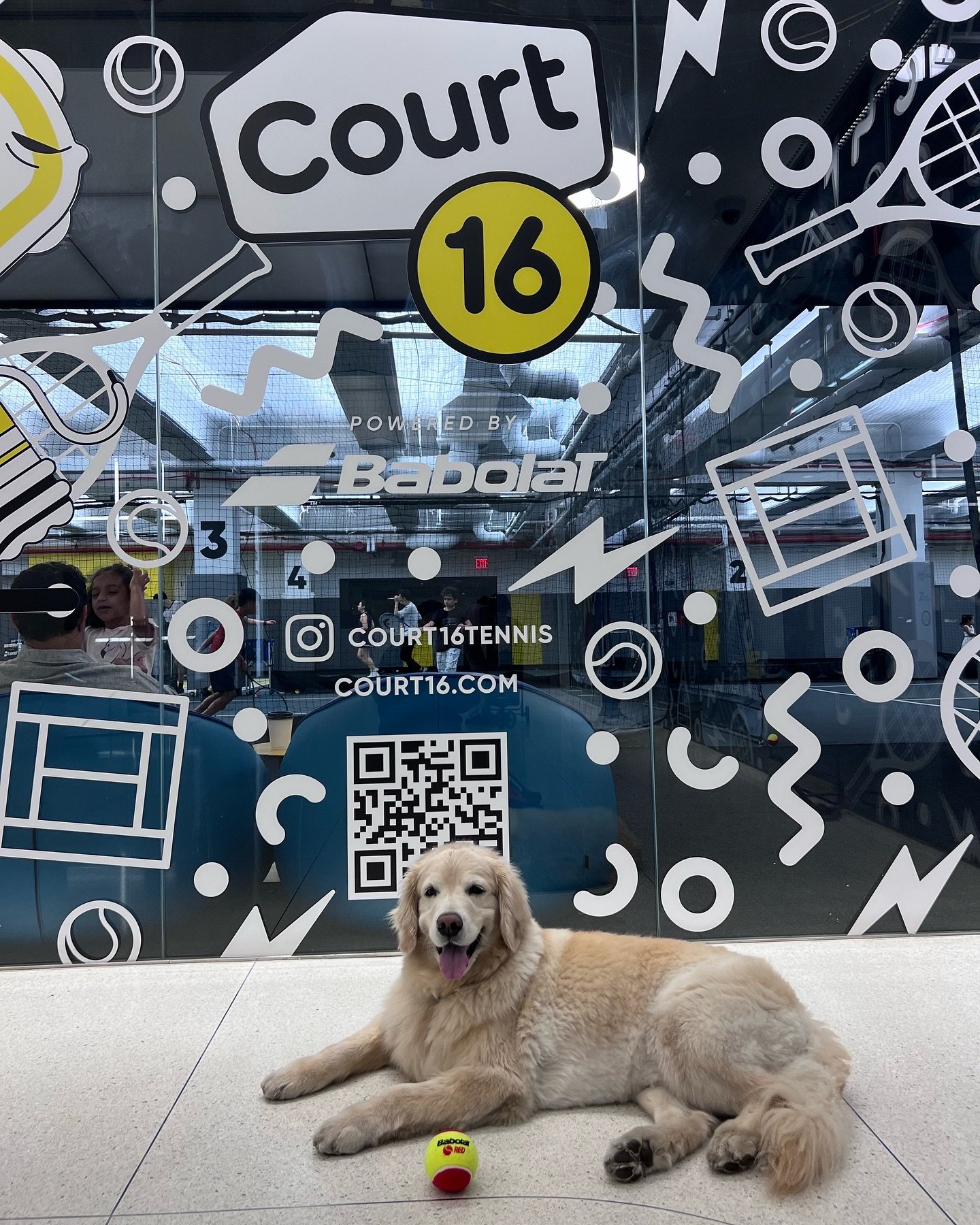 Serving up cuteness as National Tennis Month and National Pet Month come to a close! 🎾🐾 Meet @nala_thegoldie &mdash;tennis ball lover, pet celebrity and our May MVP! 🐶 From FiDi to Philadelphia, we&rsquo;re excited to grow side by side with @bondv