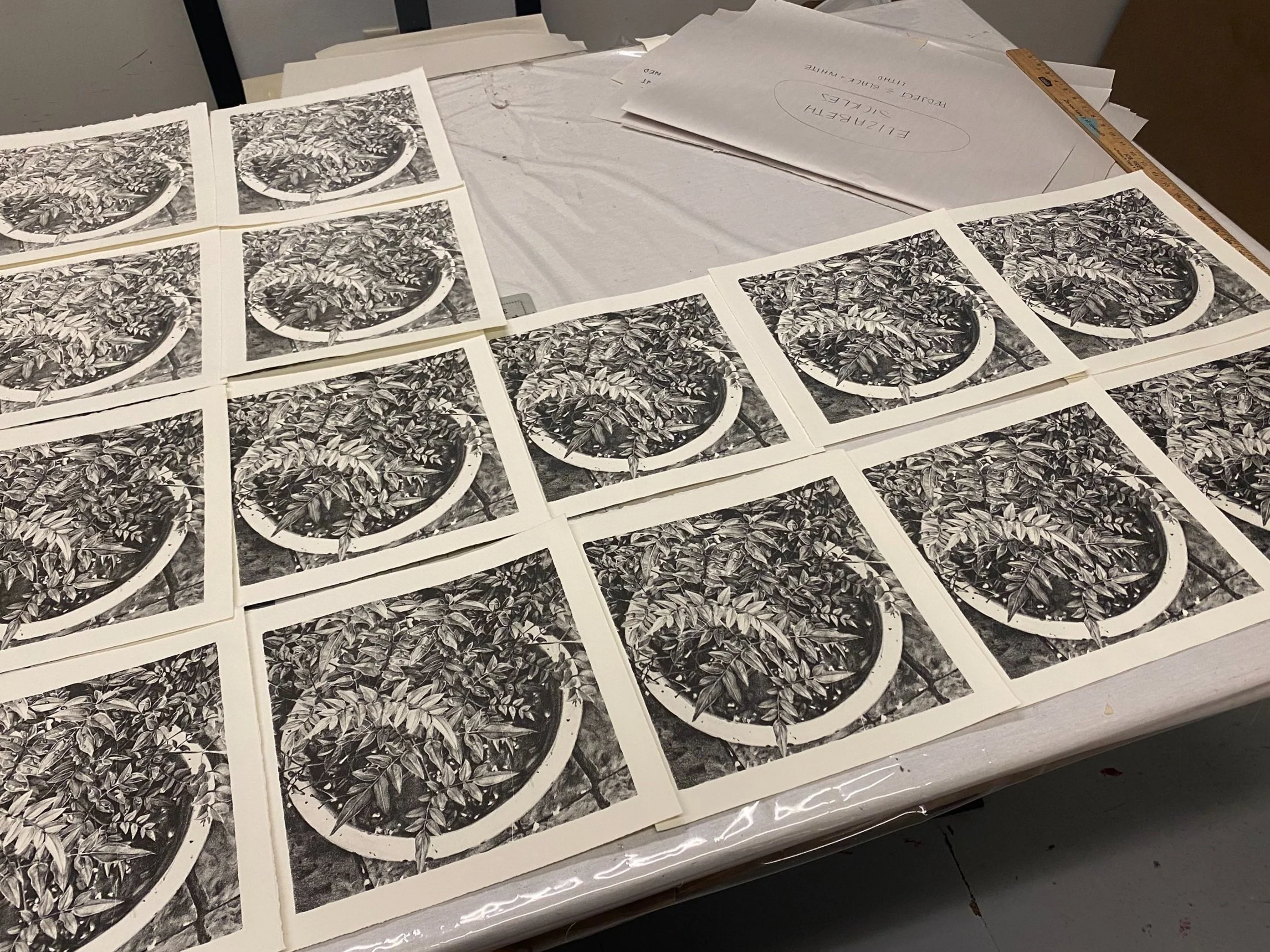 All editions of the print