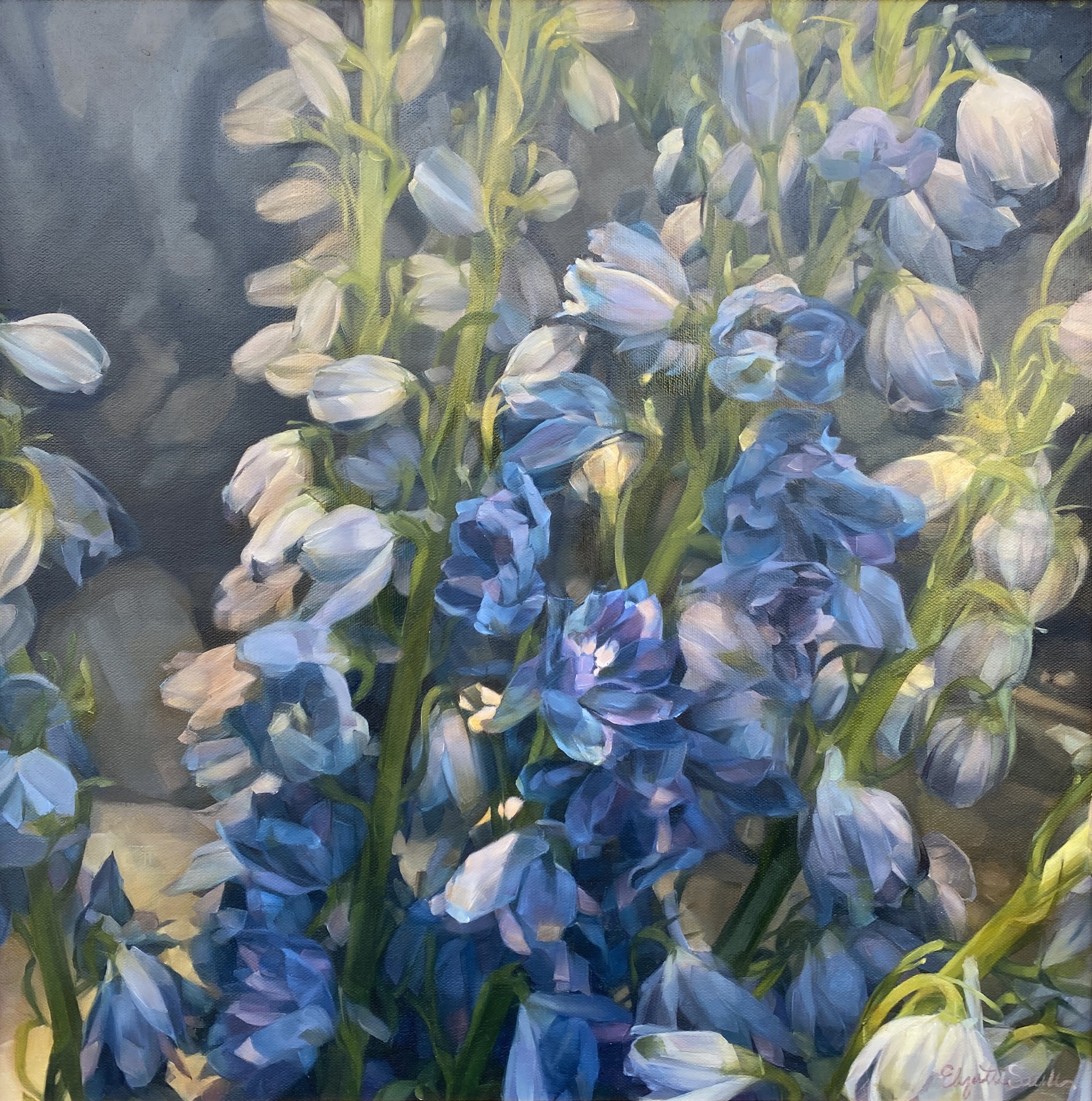 La Fleur at Phipps