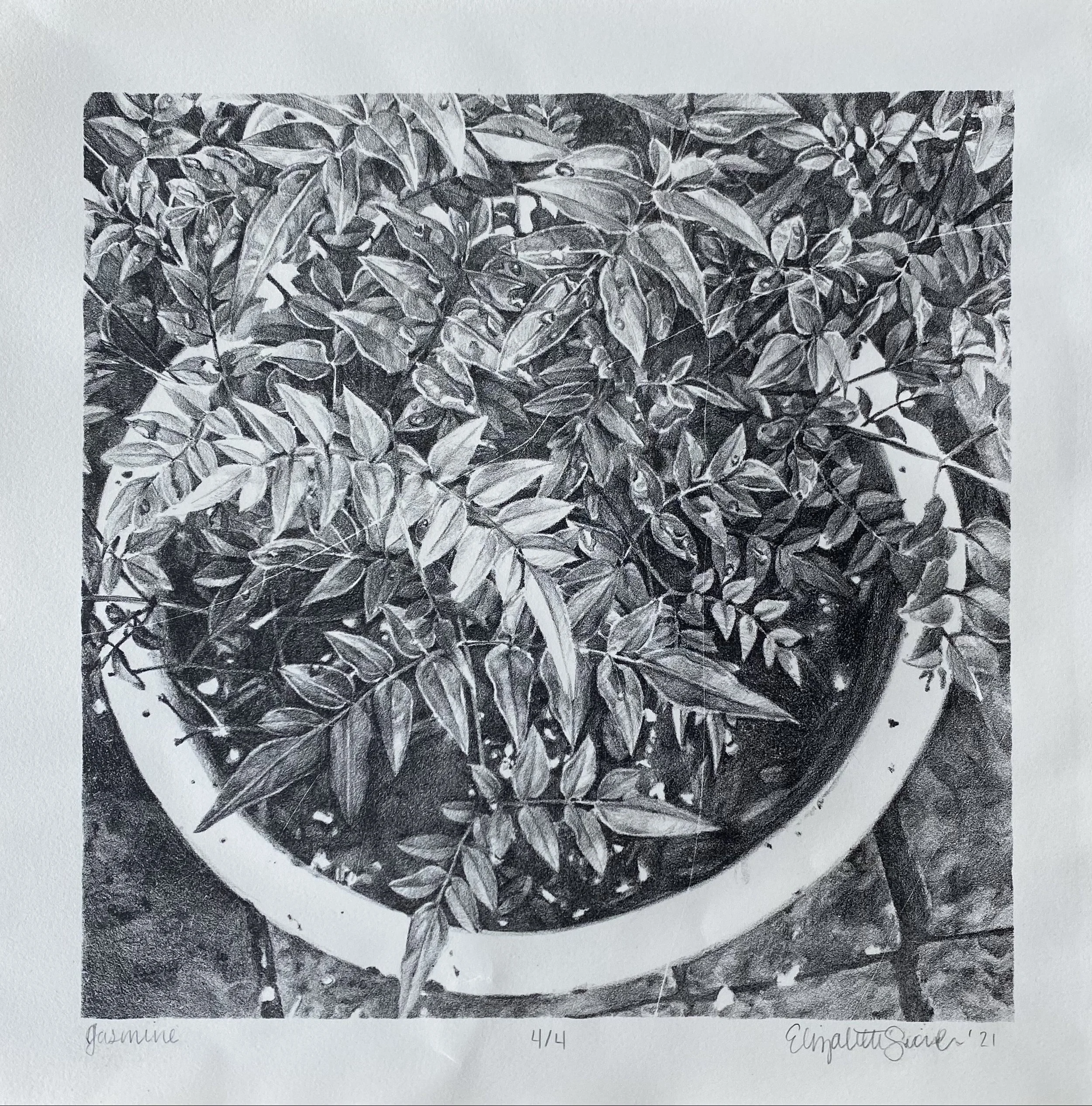 "Jasmine", lithograph (lighter edition), 10" x 10", 2021