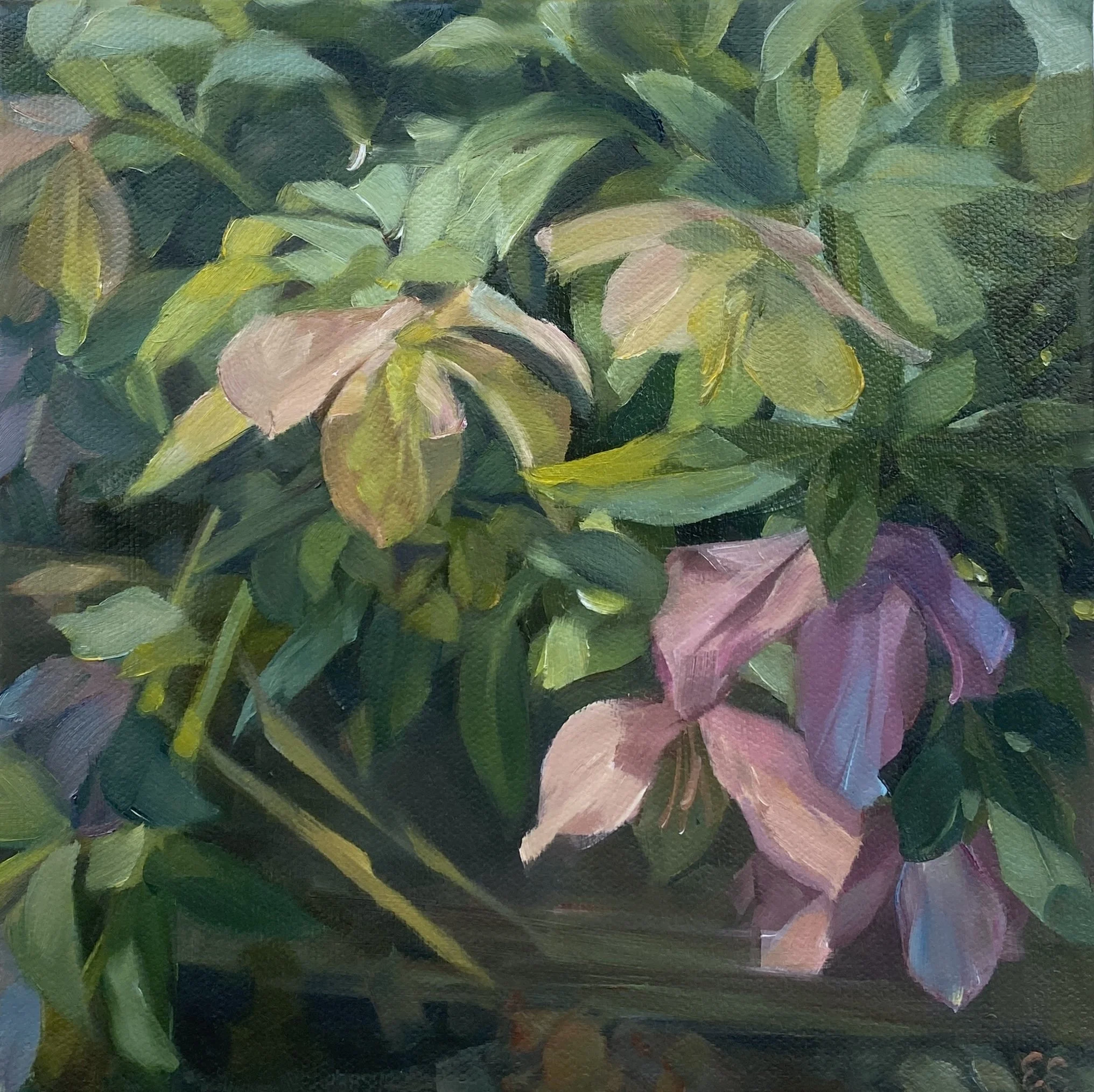 "Beneath the Trellis", oil on canvas, 8" x 8", 2026