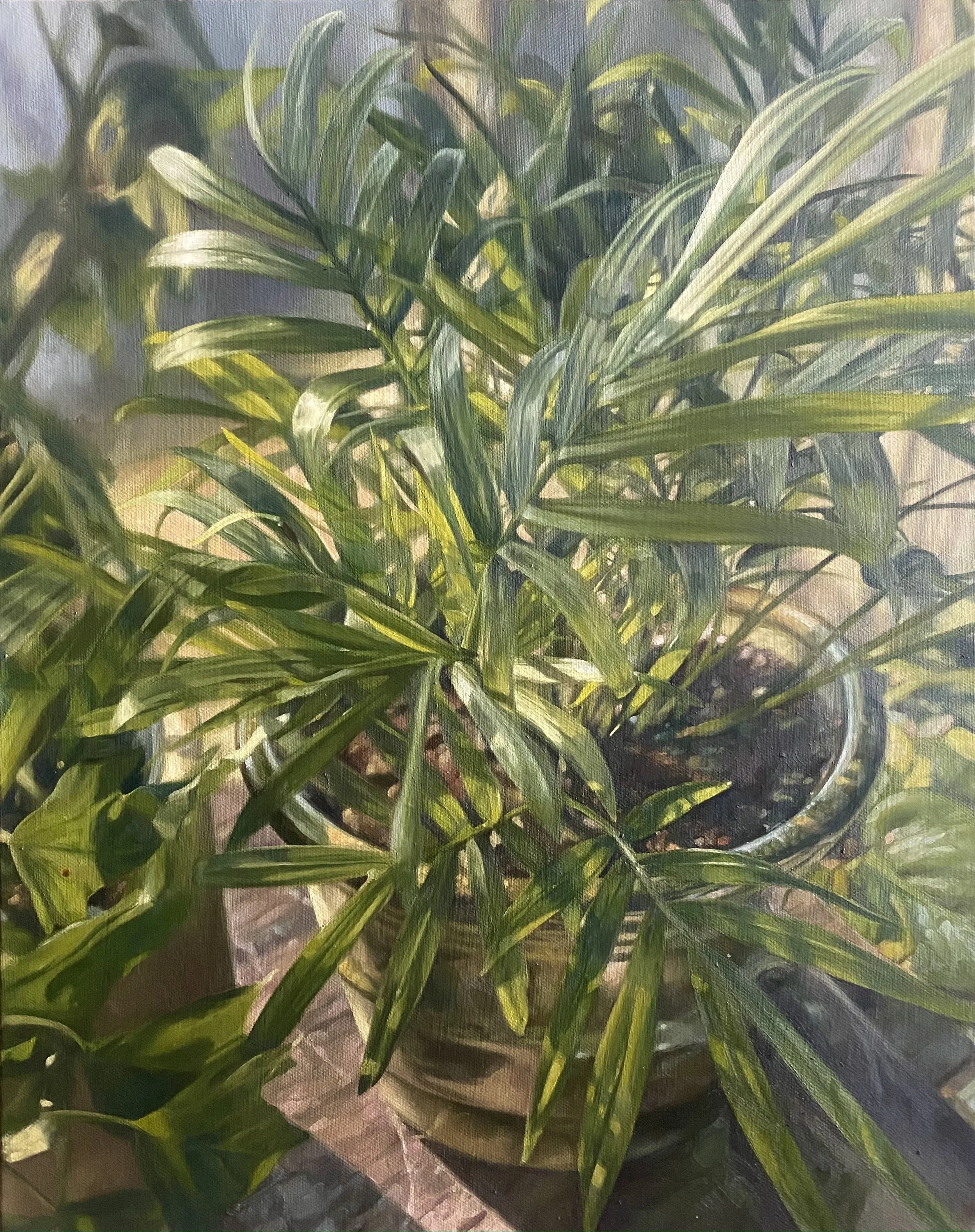 "Sunlight Palm", oil on canvas, 16" x 20", 2022