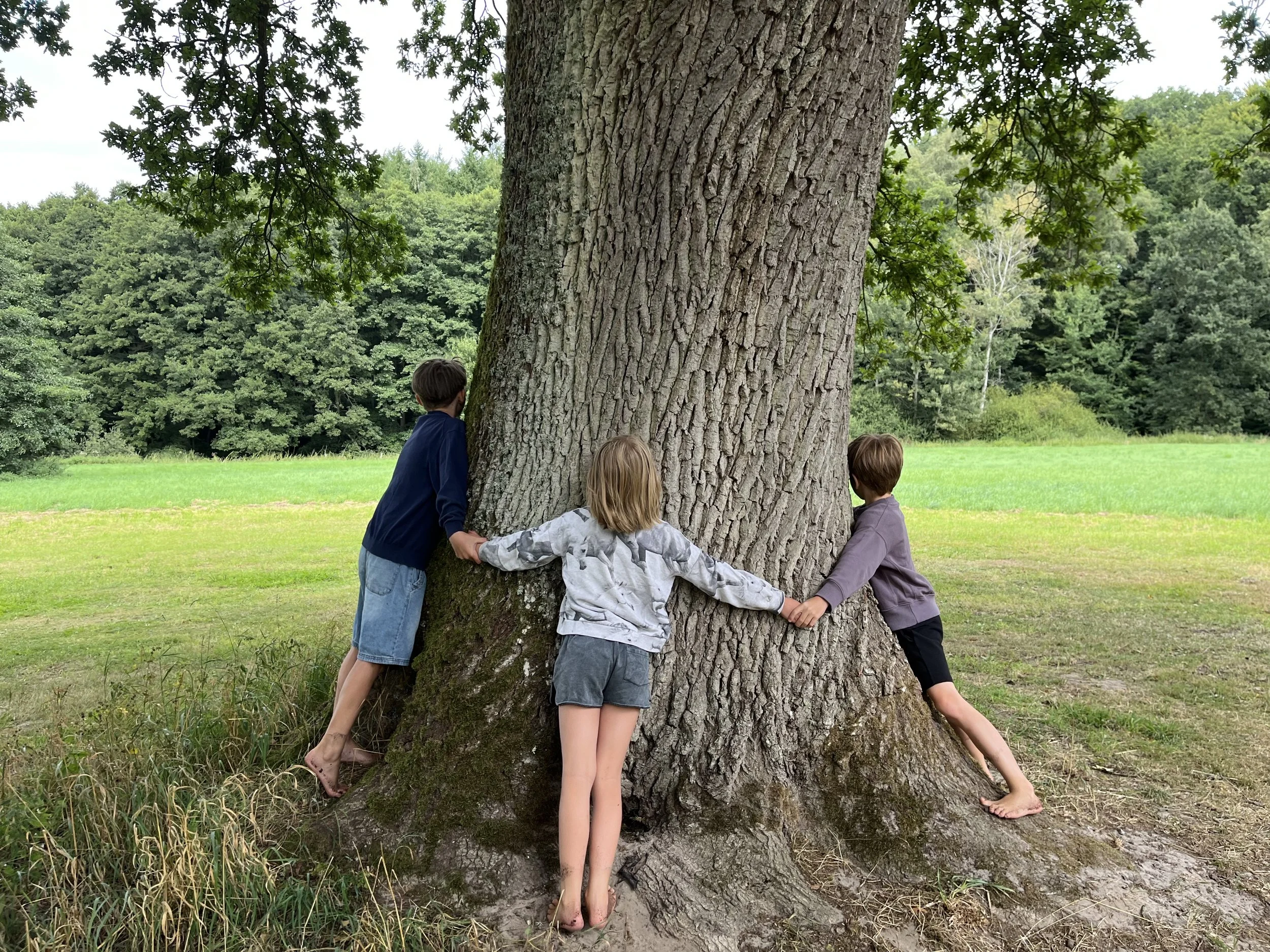 Familien Waldzeit für Groß & Klein: Kleine Pause