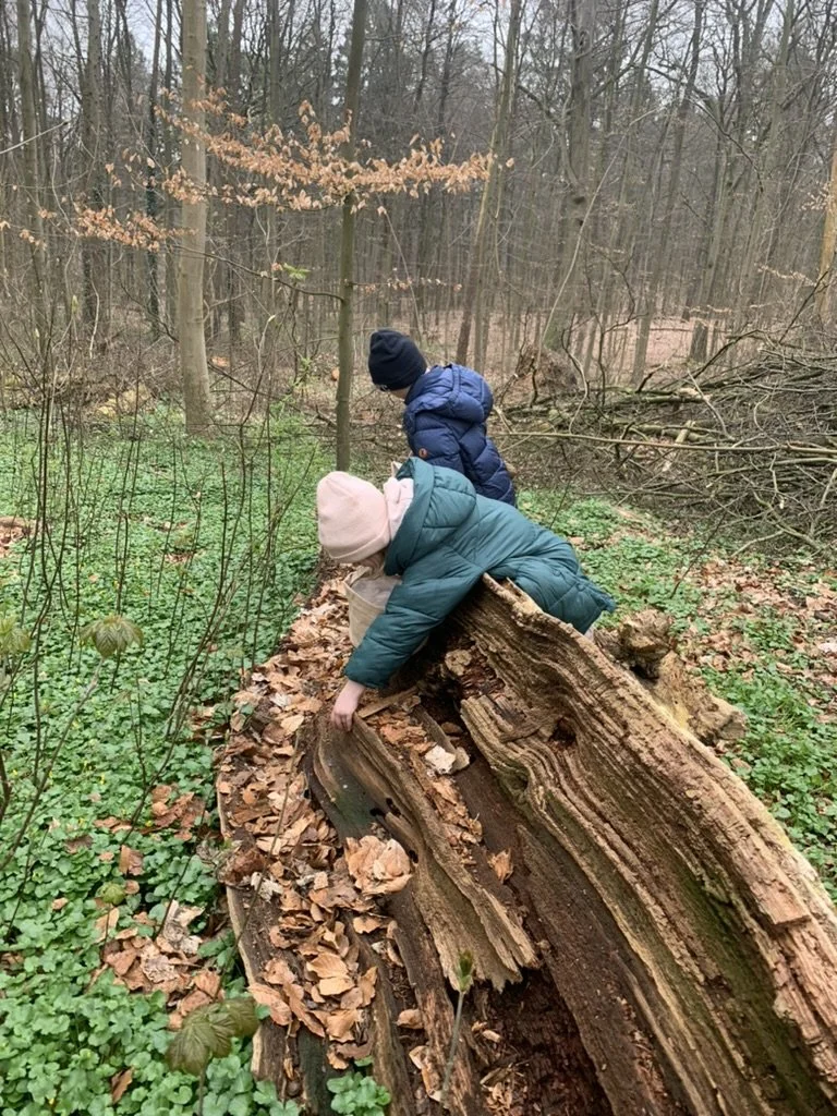 Familien Waldzeit für Groß & Klein: Hallo Herbst