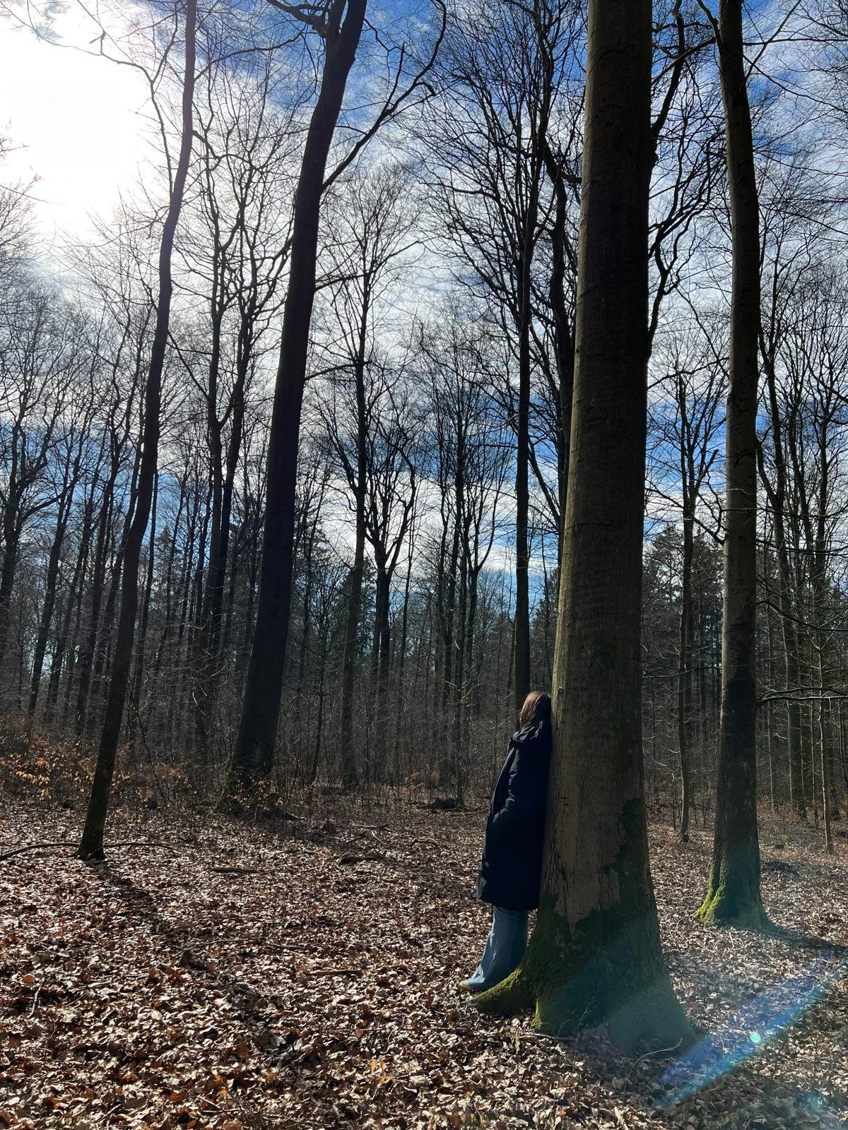 Wald Weilchen: Winteredition