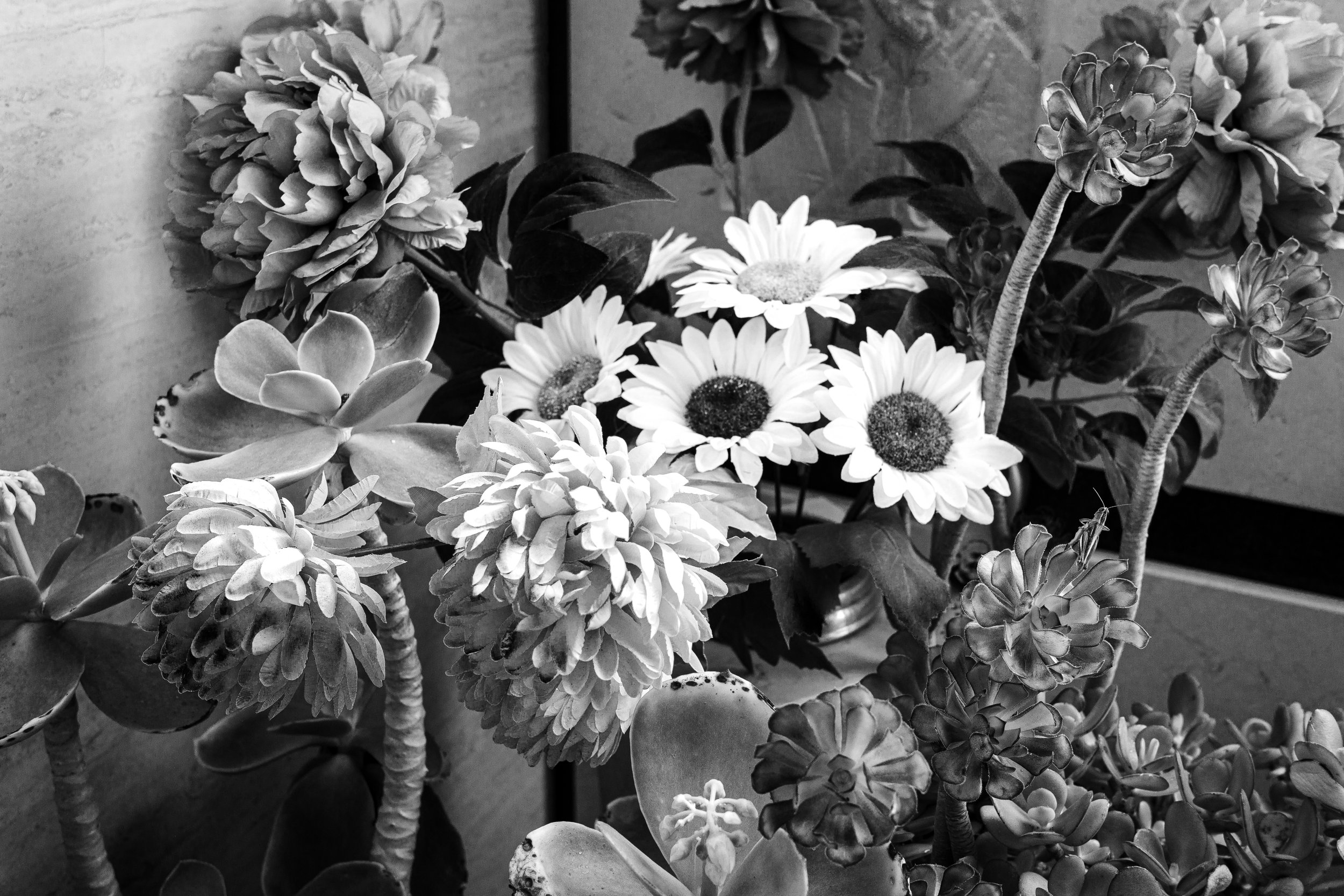 R0003169.jpg