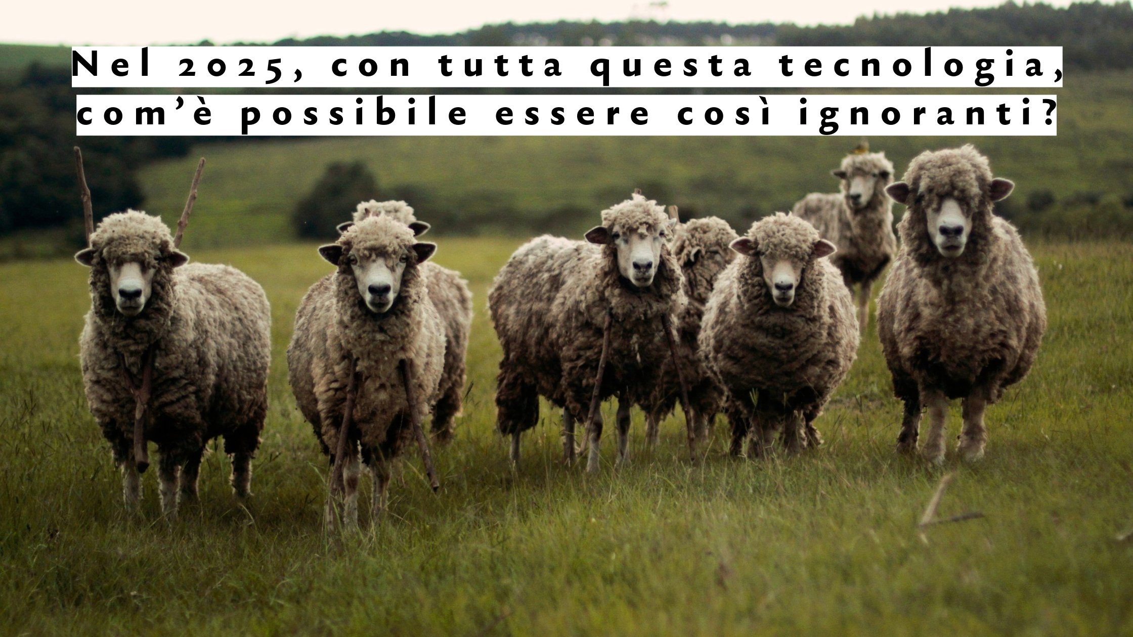 Nel 2025, con tutta questa tecnologia, com’è possibile essere così ignoranti?
