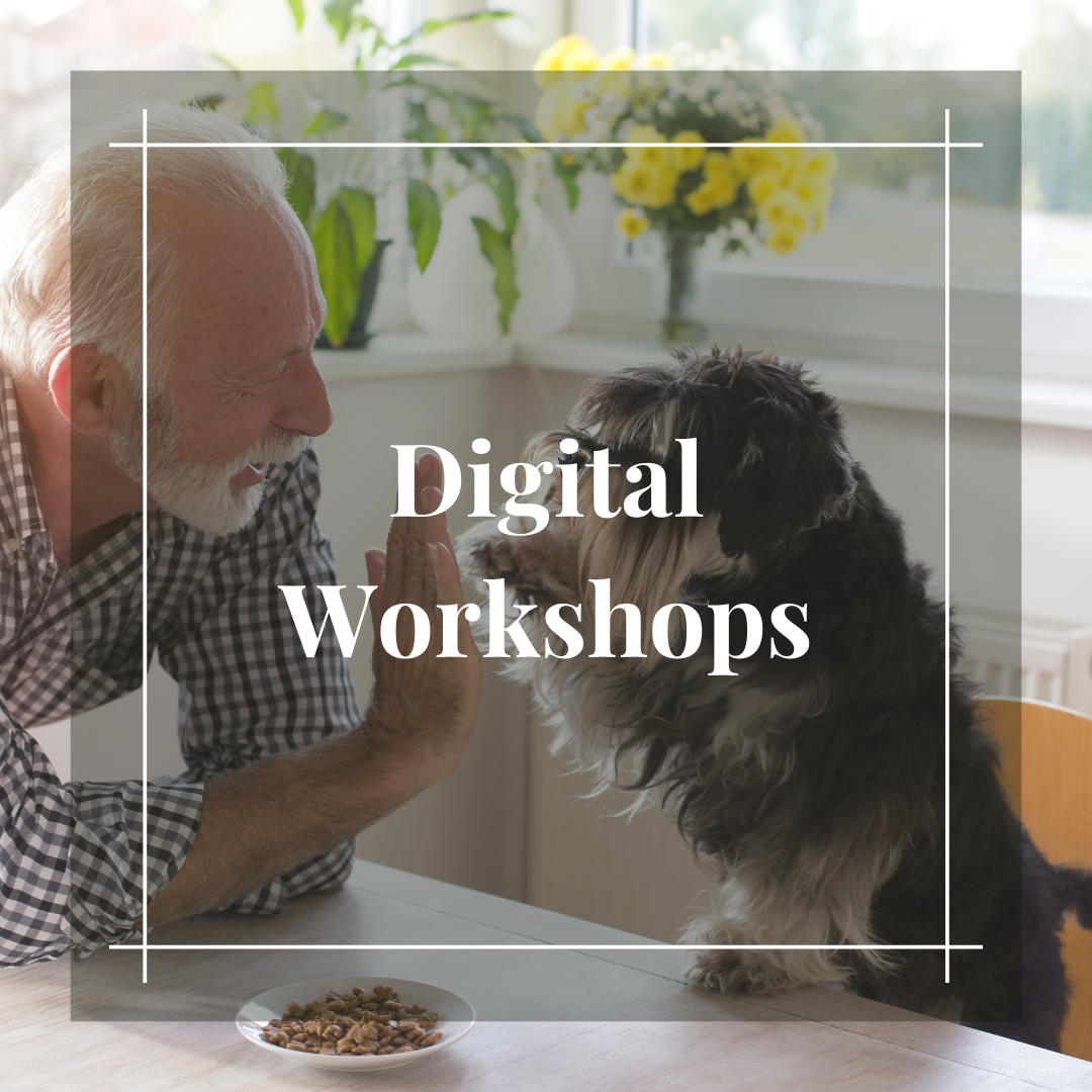 Digital Workshops