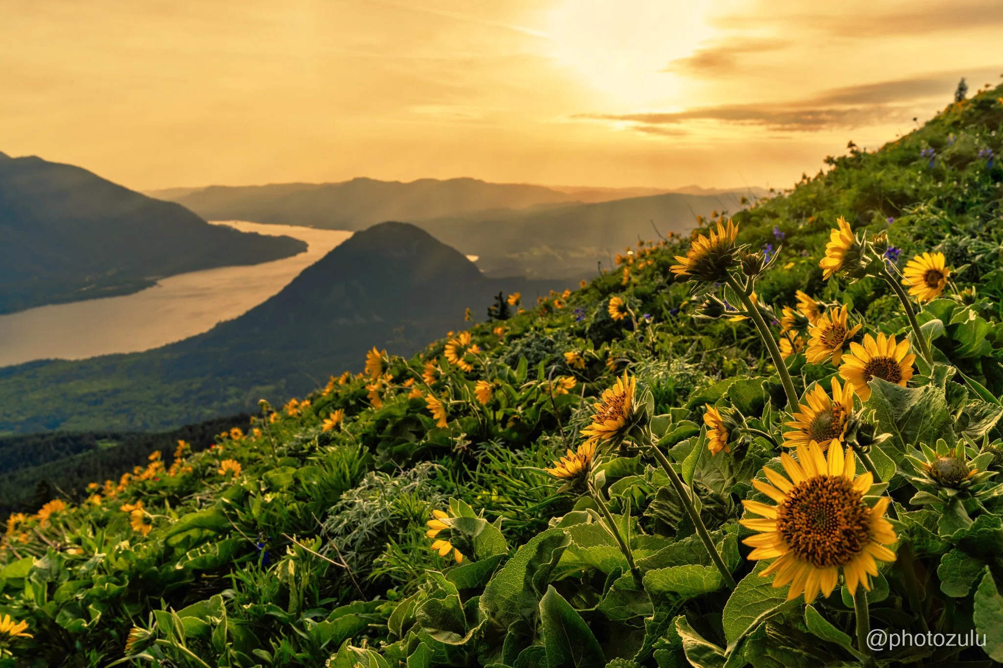 Dog Mountain Trail, Washington
