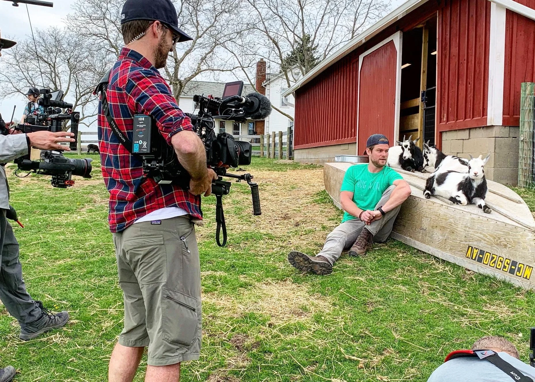 Saved By The Barn Barn Sanctuary Saved By The Barn Barn Sanctuary