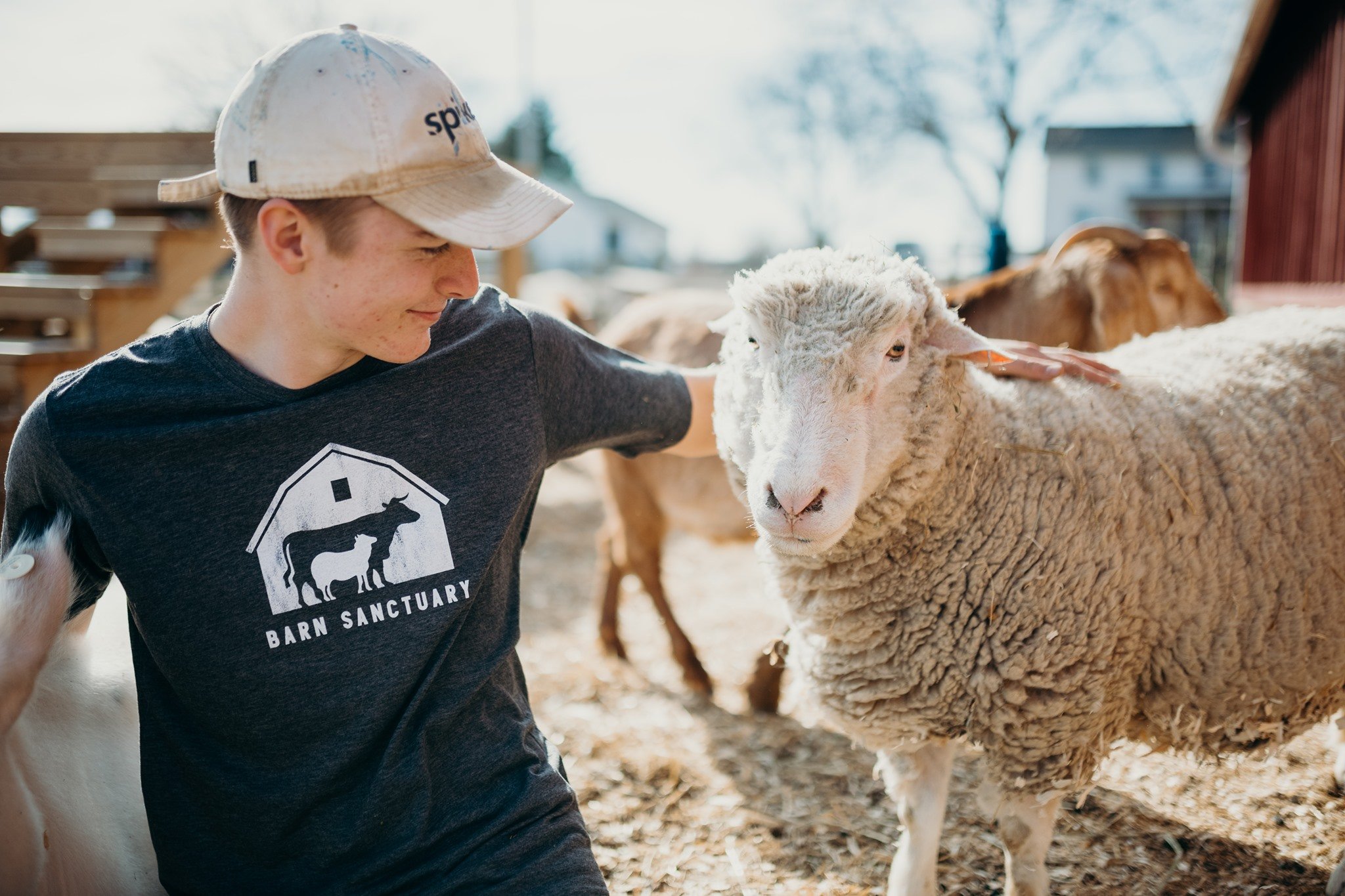Barn Sanctuary Barn Sanctuary