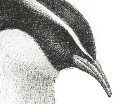 penguin-detail1.jpg