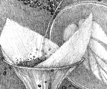 coffee-and-bossa-nova-detail2.jpg