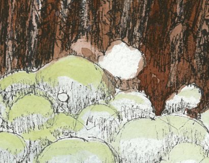 sweet-grove-detail3.jpg