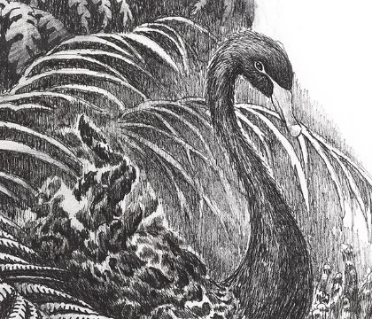 life-within-the-tree-detail1.jpg