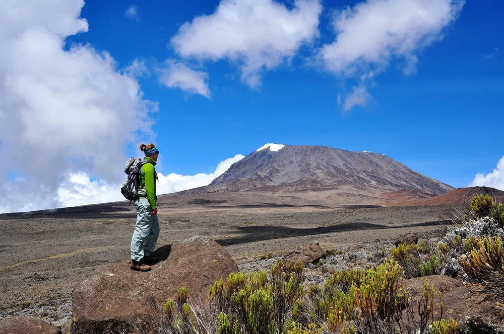Apply For Entry Visa Kilimanjaro Prep Guide apply-for-entry-visa-kilimanjaro-prep-guide