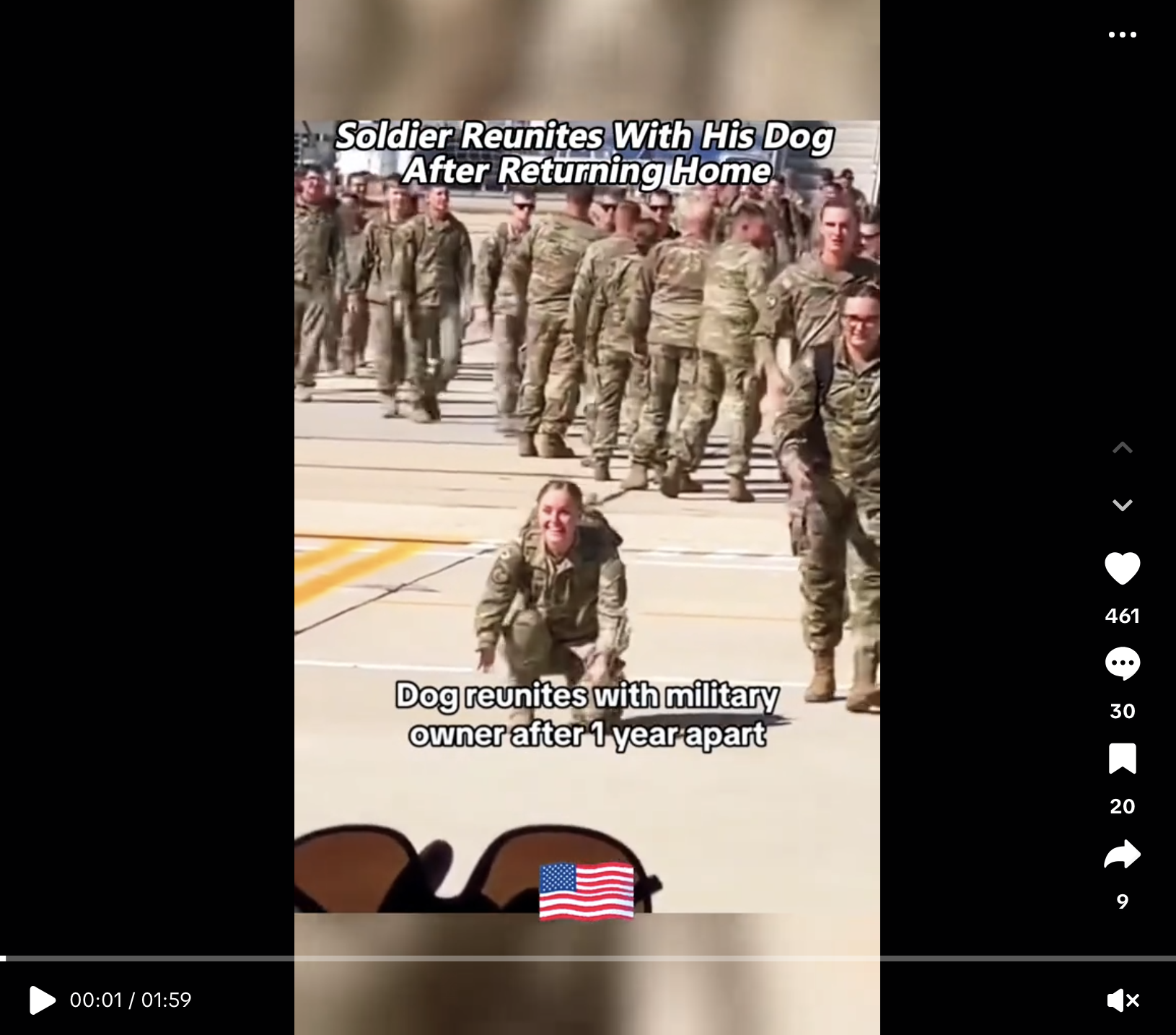 soldier reunites with his dog