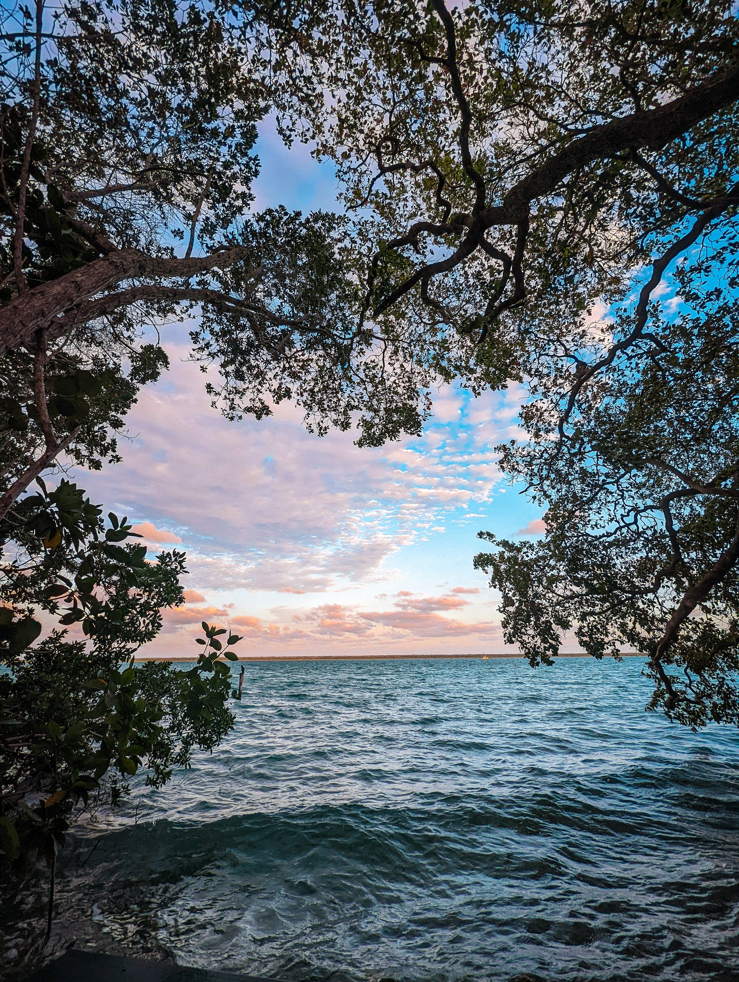 bacalar.jpg