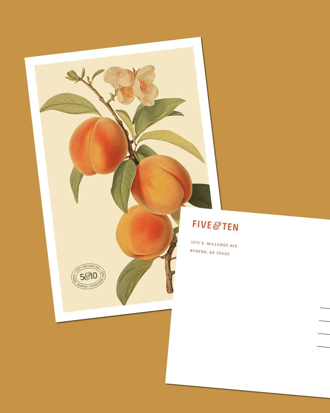 Full case study for the work we&rsquo;ve done with our friends @fiveandten coming this Friday! We&rsquo;re excited to show a peek behind the curtain at our strategy &amp; brand work for the beloved Athens restaurant on Milledge. 

Sign up for our new