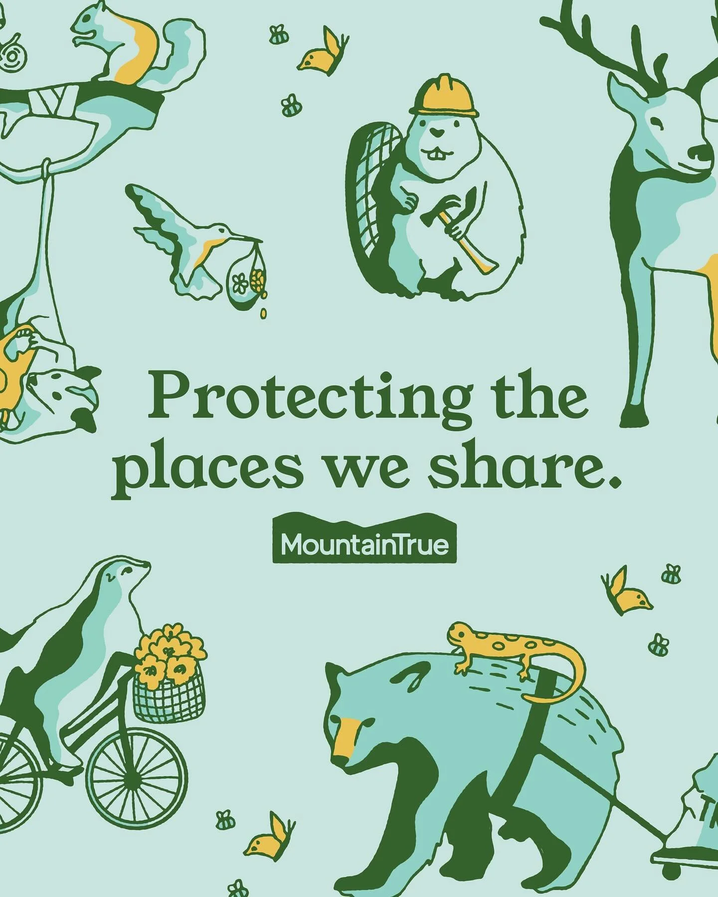 @mtntrue began as a true grassroots organization. As they grew, their brand adapted to reflect their desire to be seen as a professional and trustworthy organization. 

Now, after 40 years serving Western North Carolina, MountainTrue has stepped back