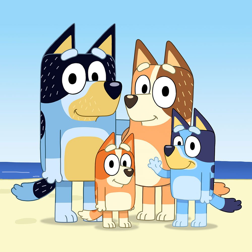 BLUEY CAMP