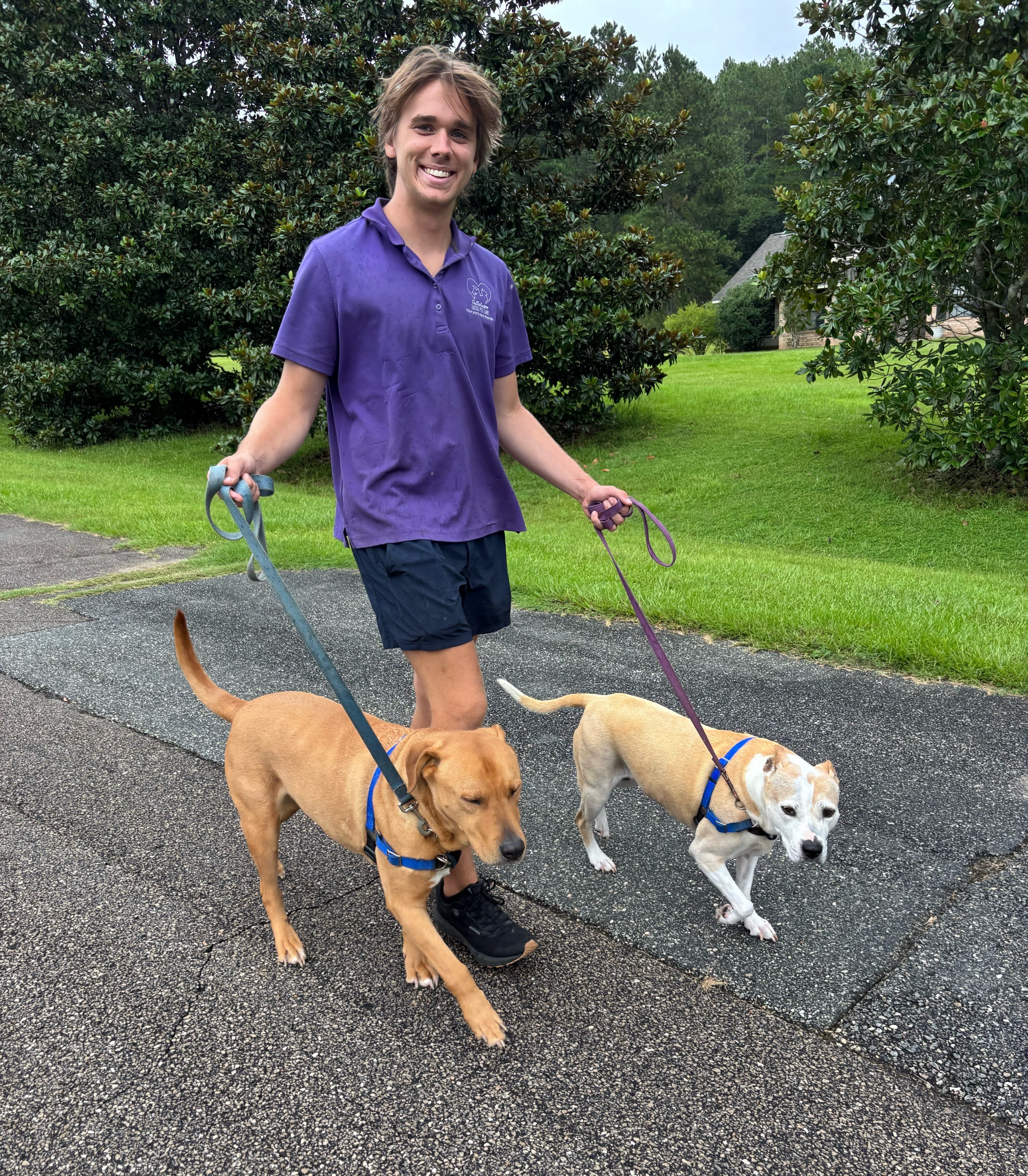 Why Tallahassee Dog Owners Love VIP Roster!