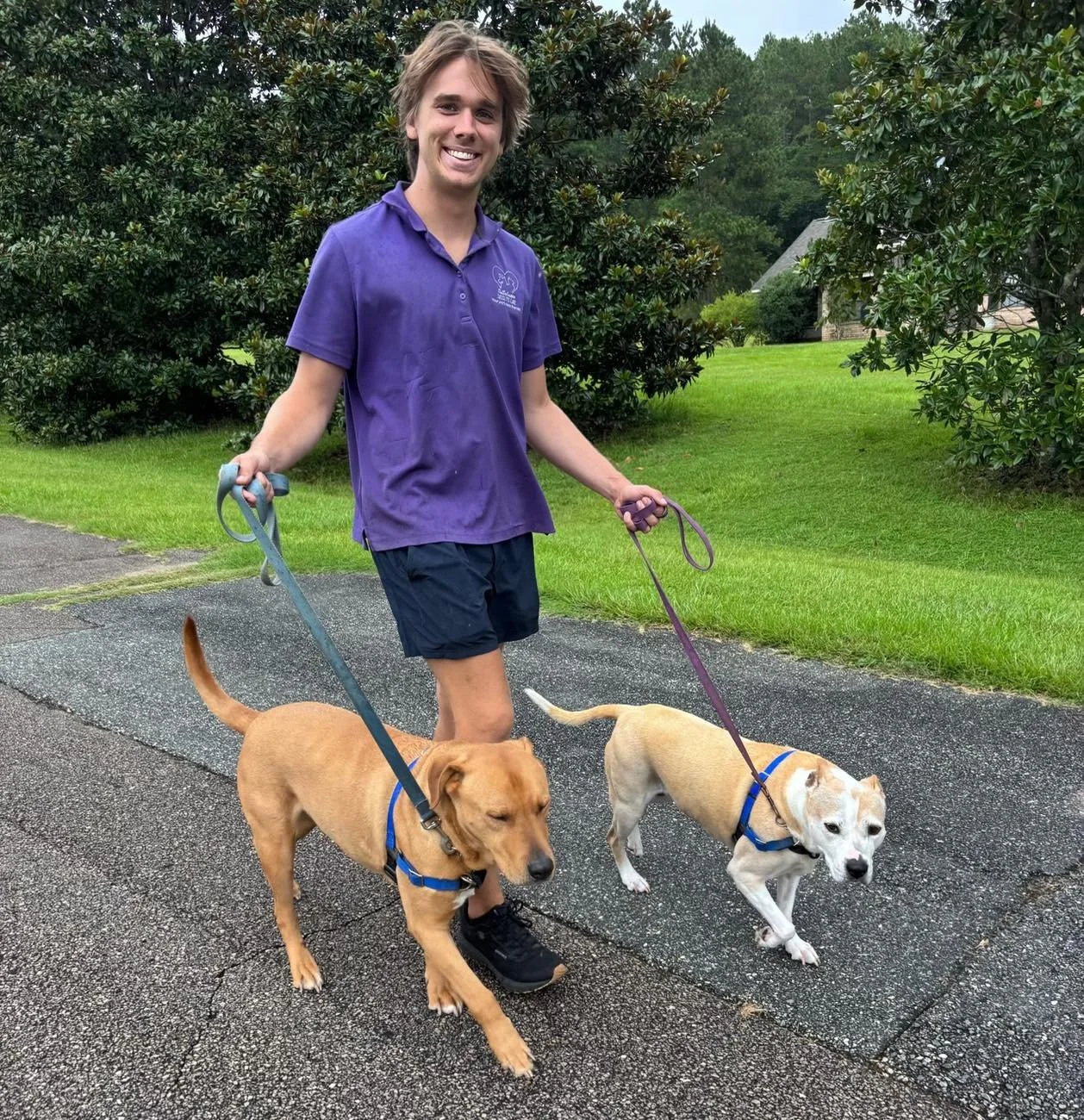 Dog Walker in Tallahassee