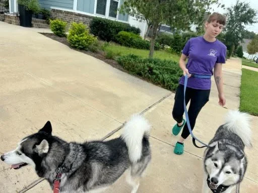 Dog walker with a happy dog in Tallahassee