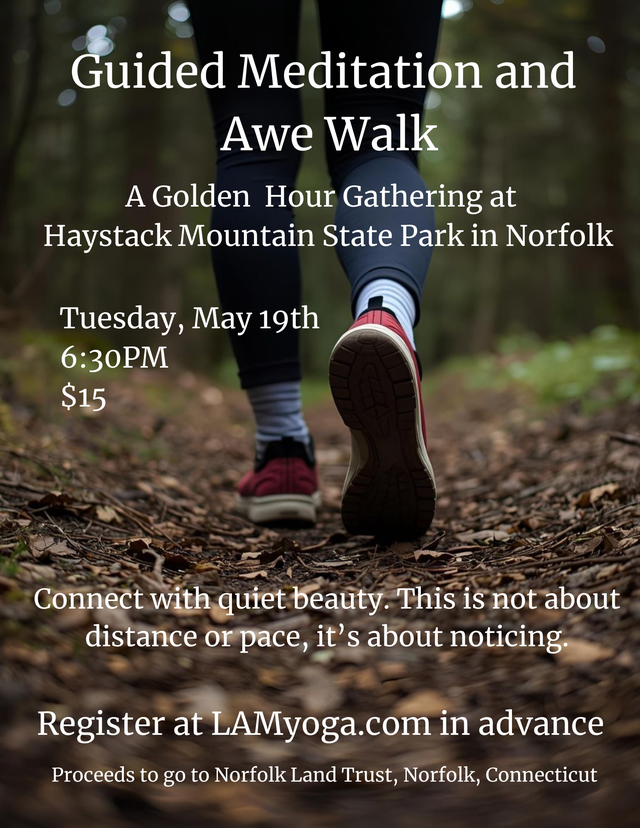 Guided Meditation and Awe Walk