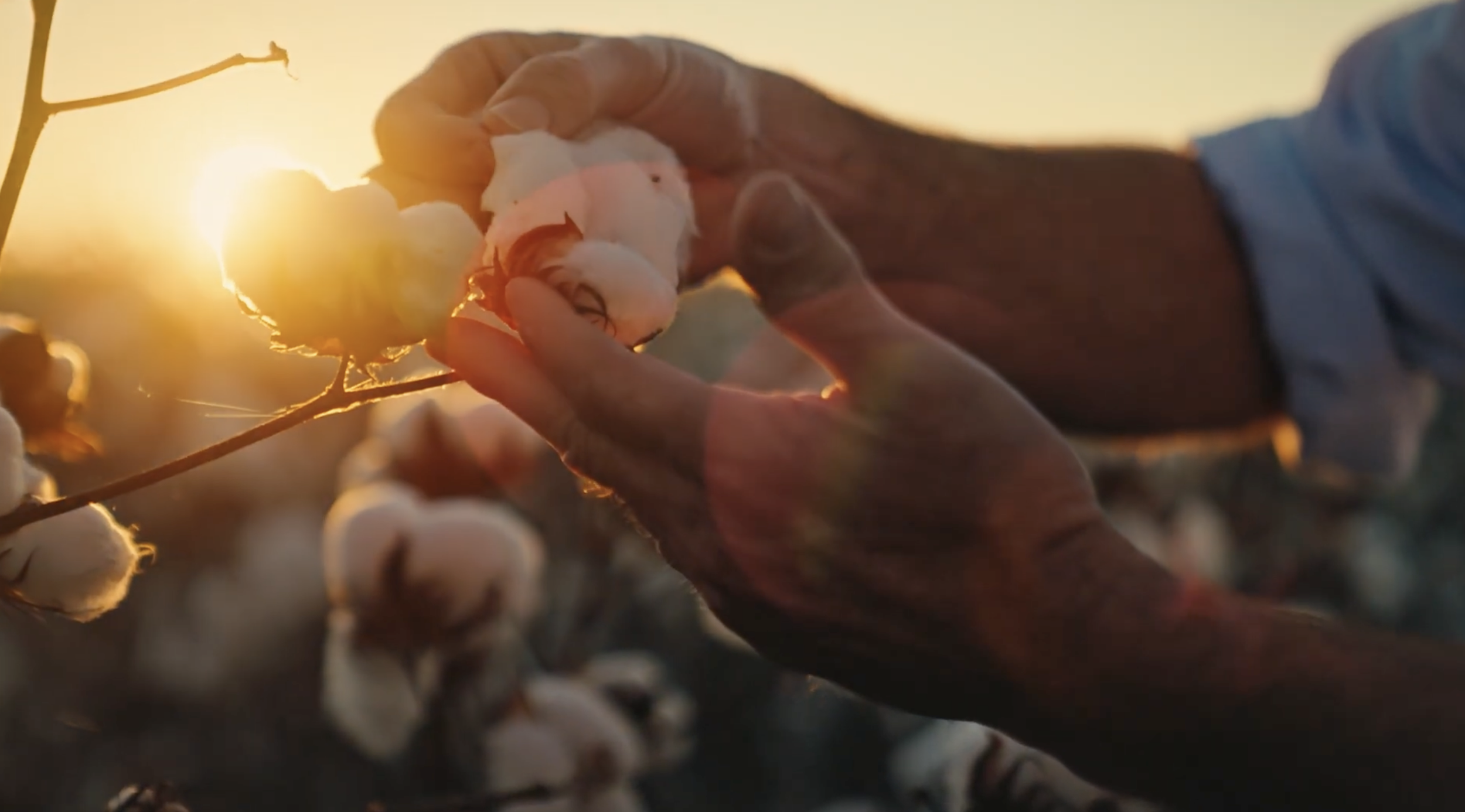 Rural Funds Management