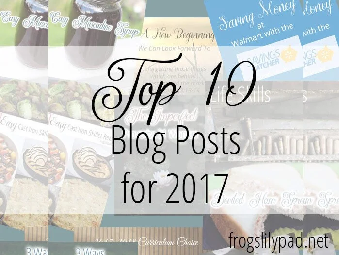 My Top 10 Posts for 2017