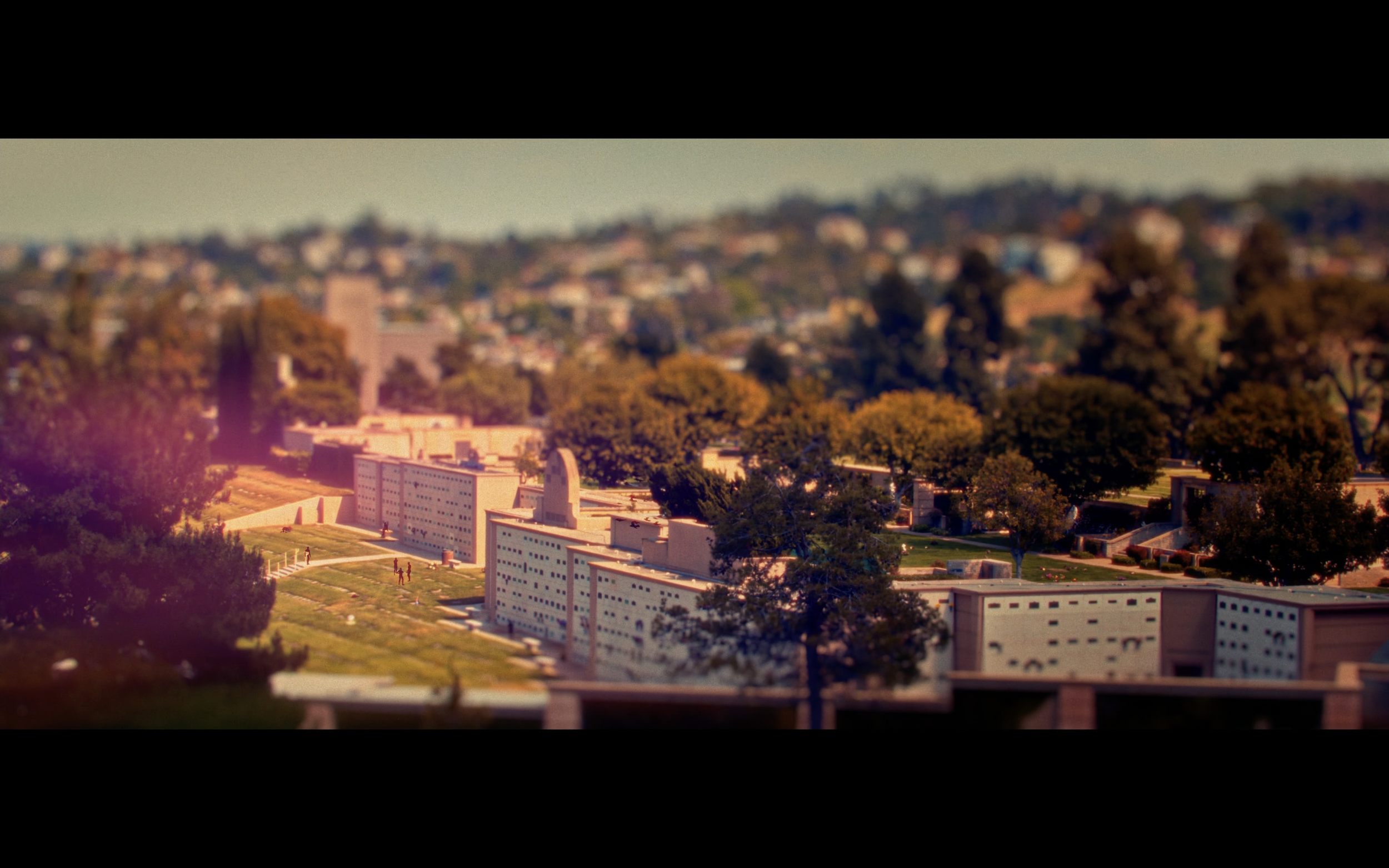 Aerial view of a university campus with modern white buildings, green lawns, and numerous trees in a city setting during daytime.