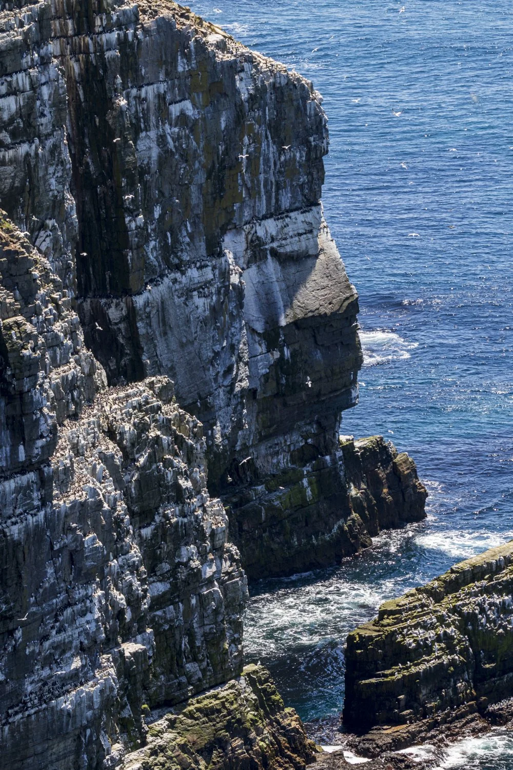 20260610-_DM23771.jpg