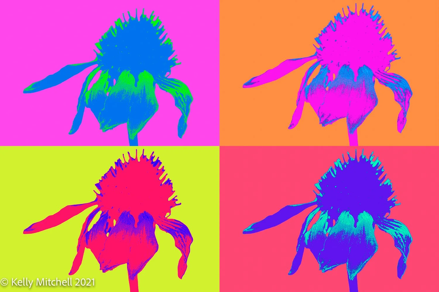 20211112-LOUD3_A_Effect_BigPink_Editable_5DM48946.jpg
