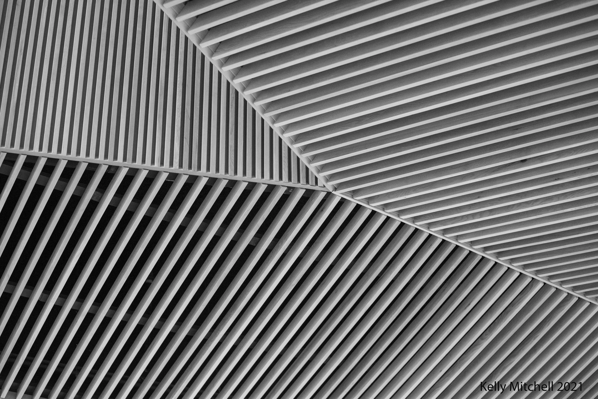 20211118_5DM49142.jpg