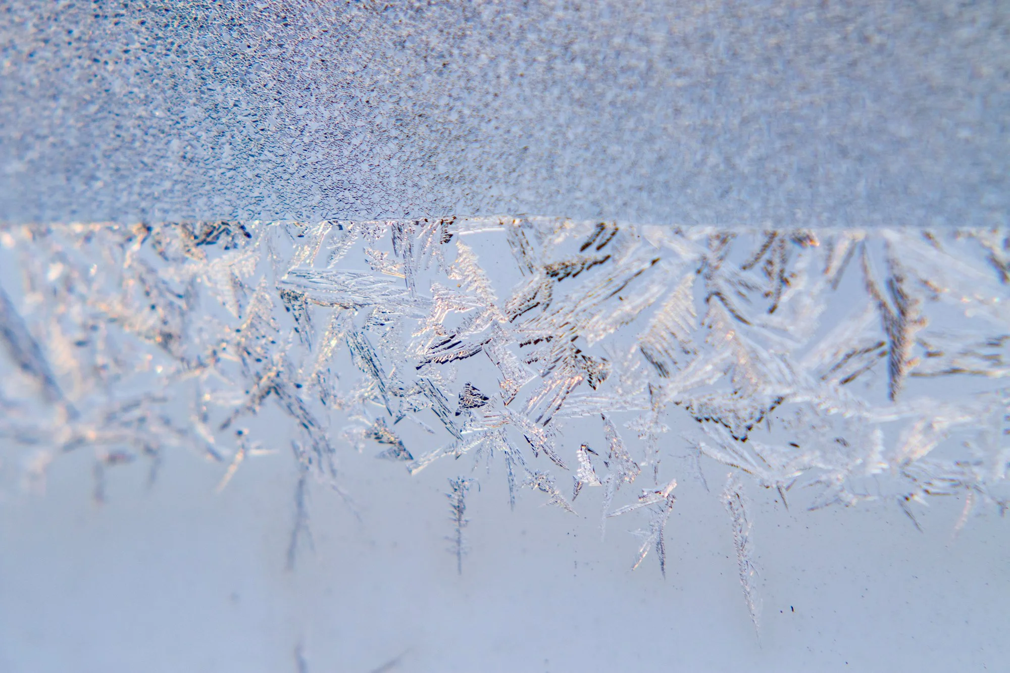 Frosted Window Panes