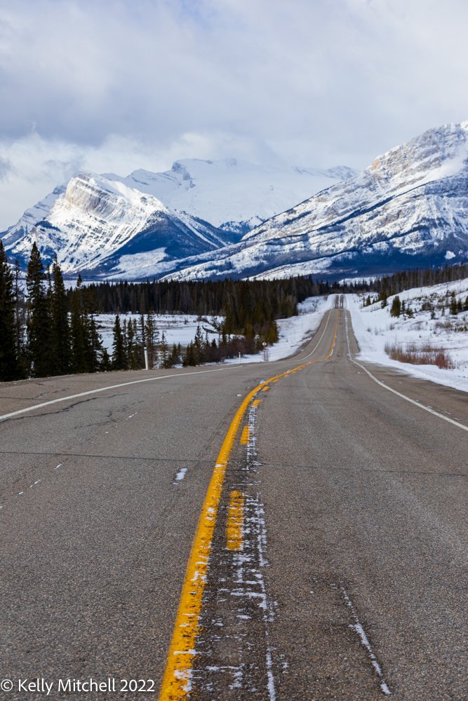 Saturday’s Adventure