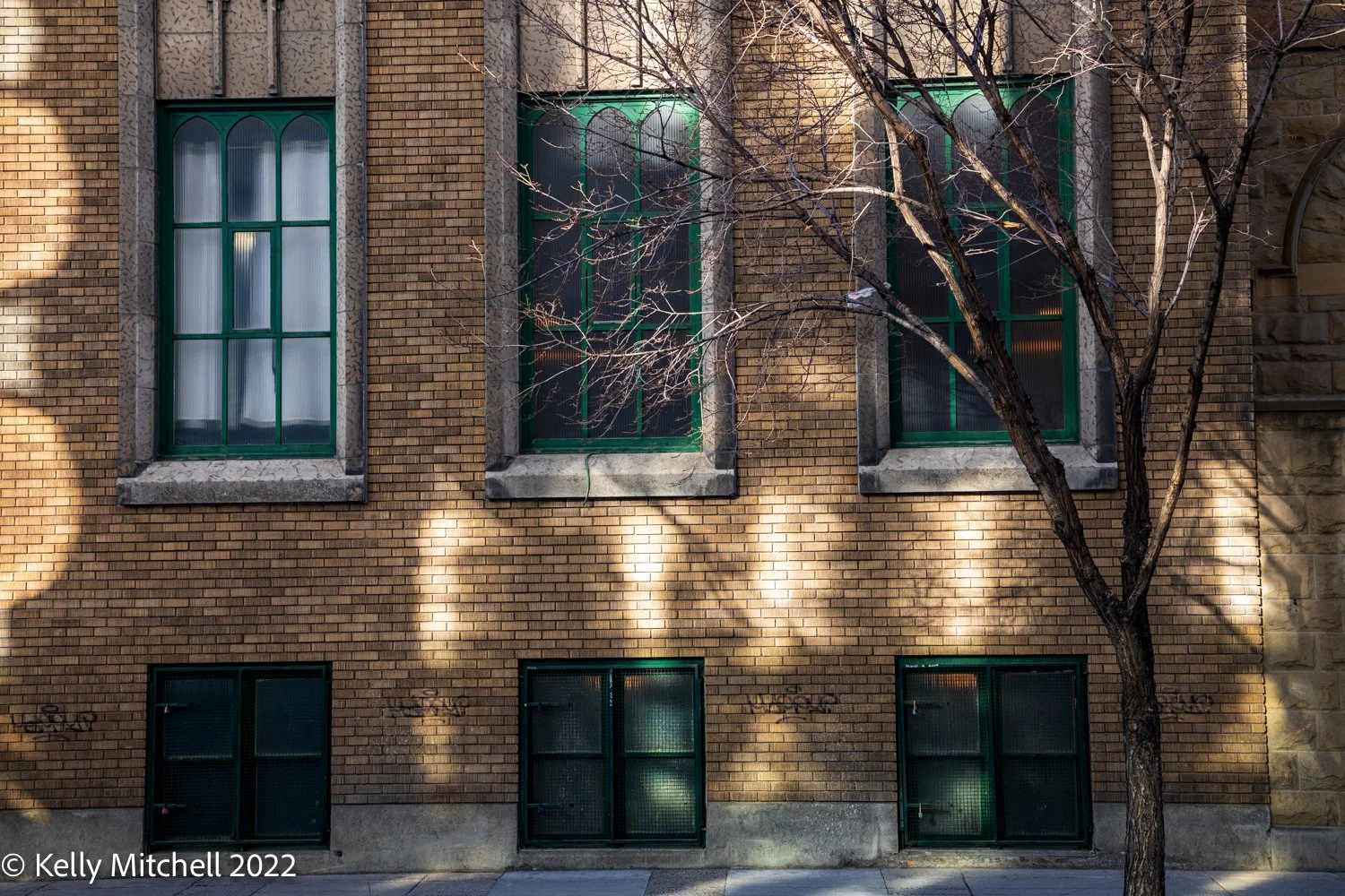 20220211-5DM49714.jpg