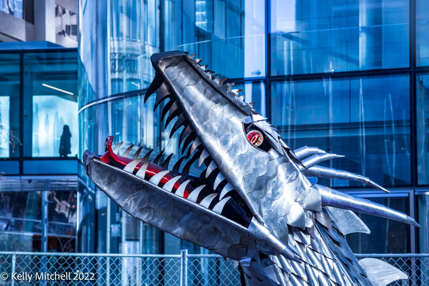 February - Photo A Day Challenge